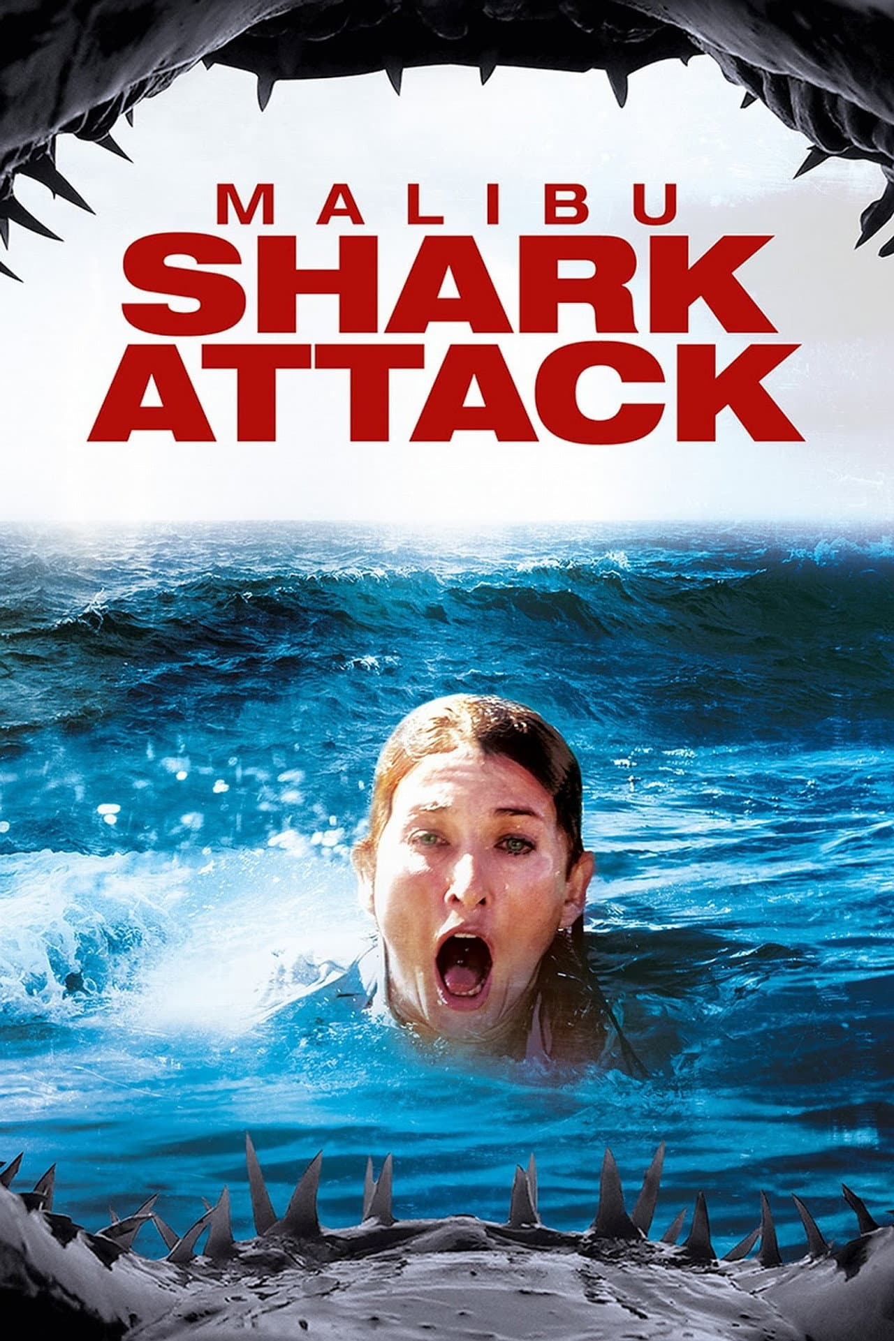 Malibu Shark Attack preview 2