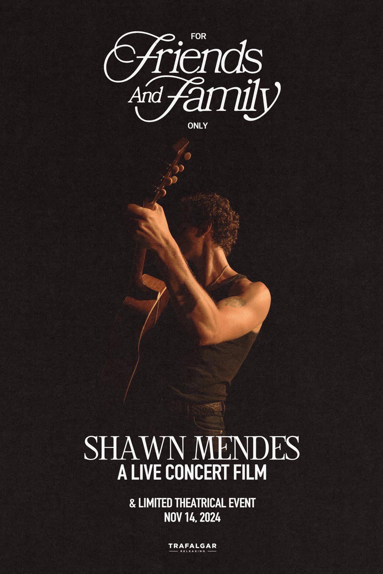 Shawn Mendes: For Friends and Family Only – A Live Concert Film preview 2