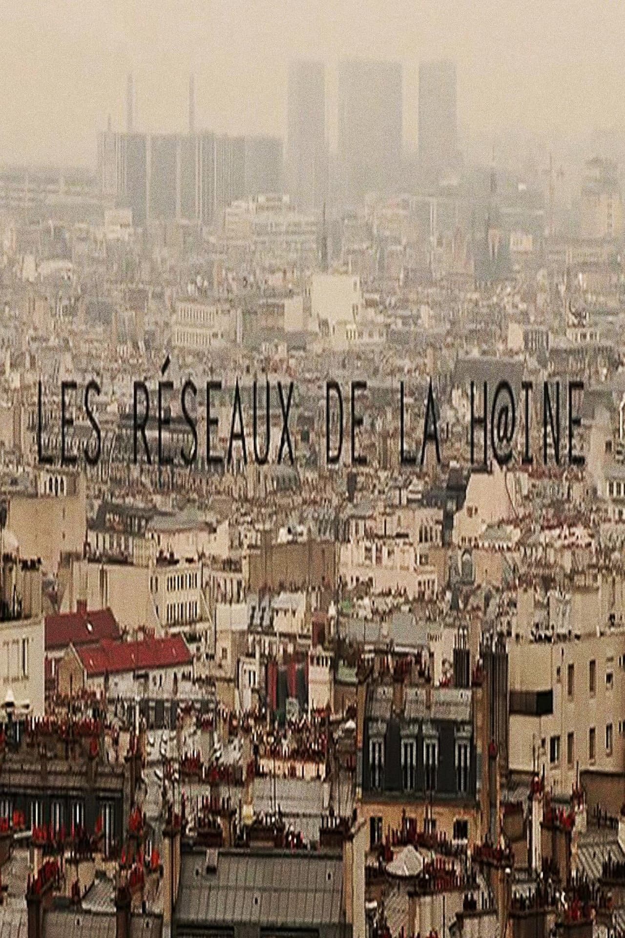 Les réseaux de la haine preview 1