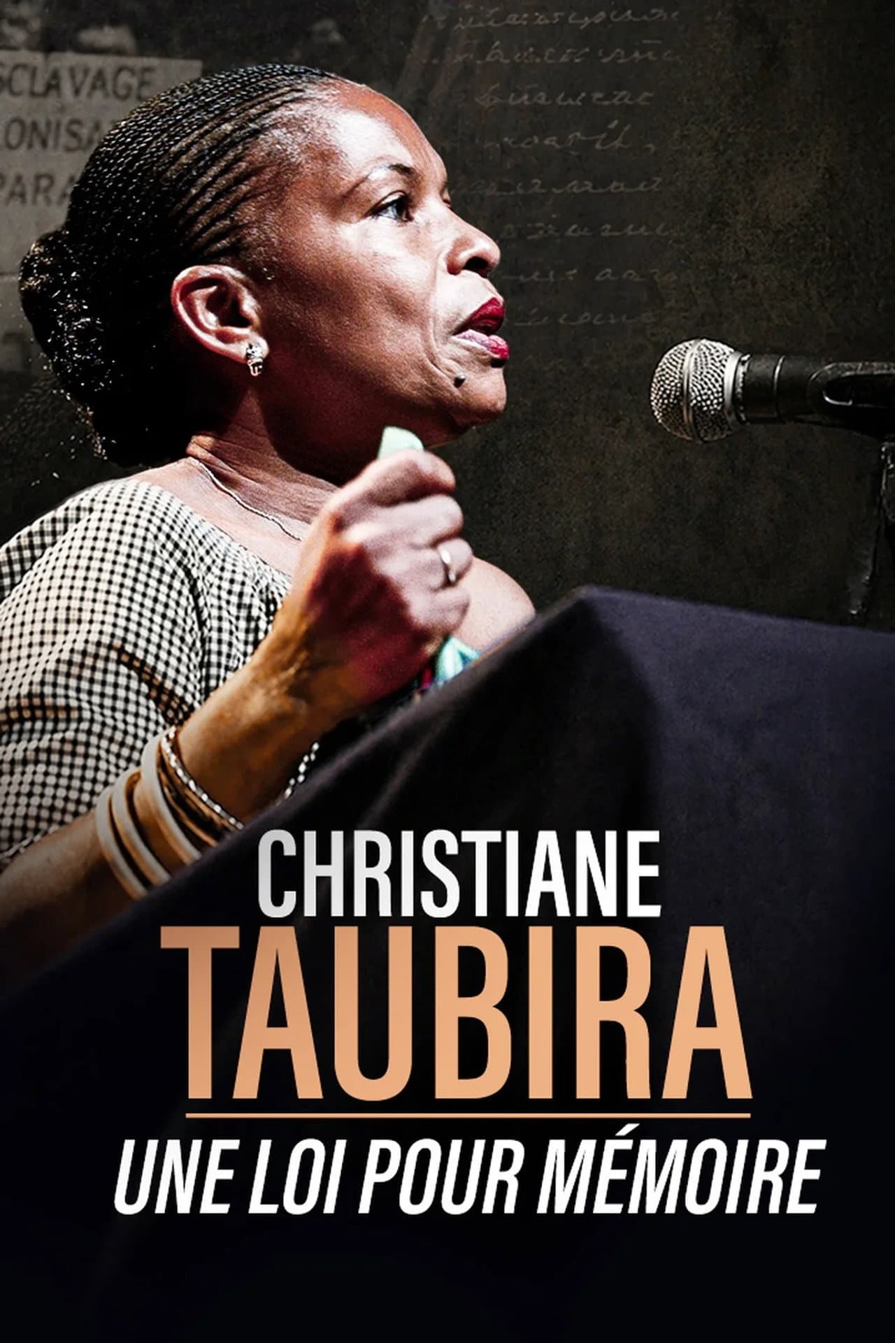 Christiane Taubira : une loi pour mémoire preview 2