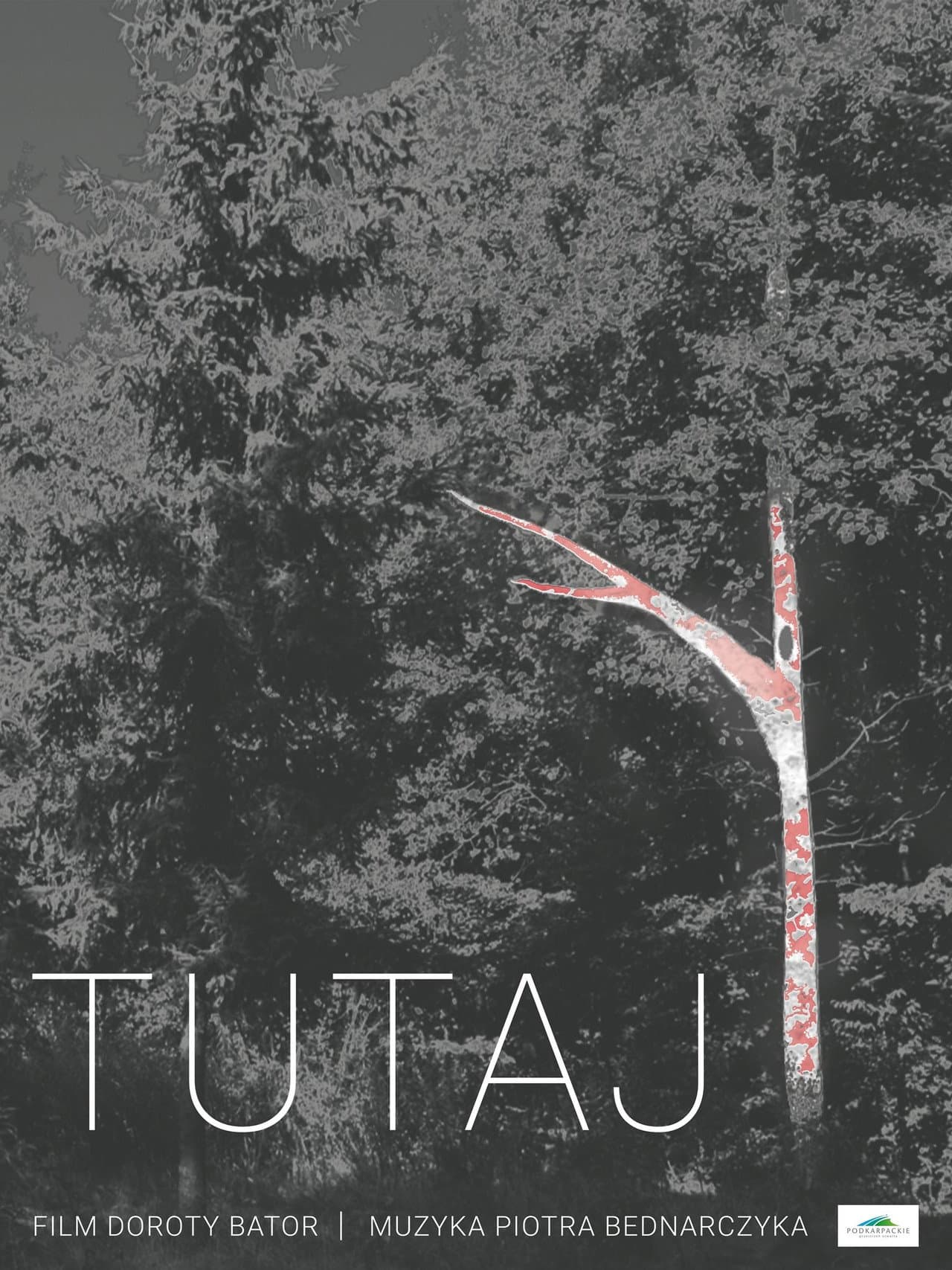 Tutaj preview 1
