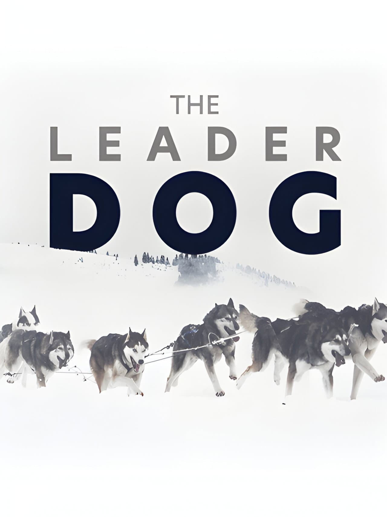 The Leader Dog preview 2