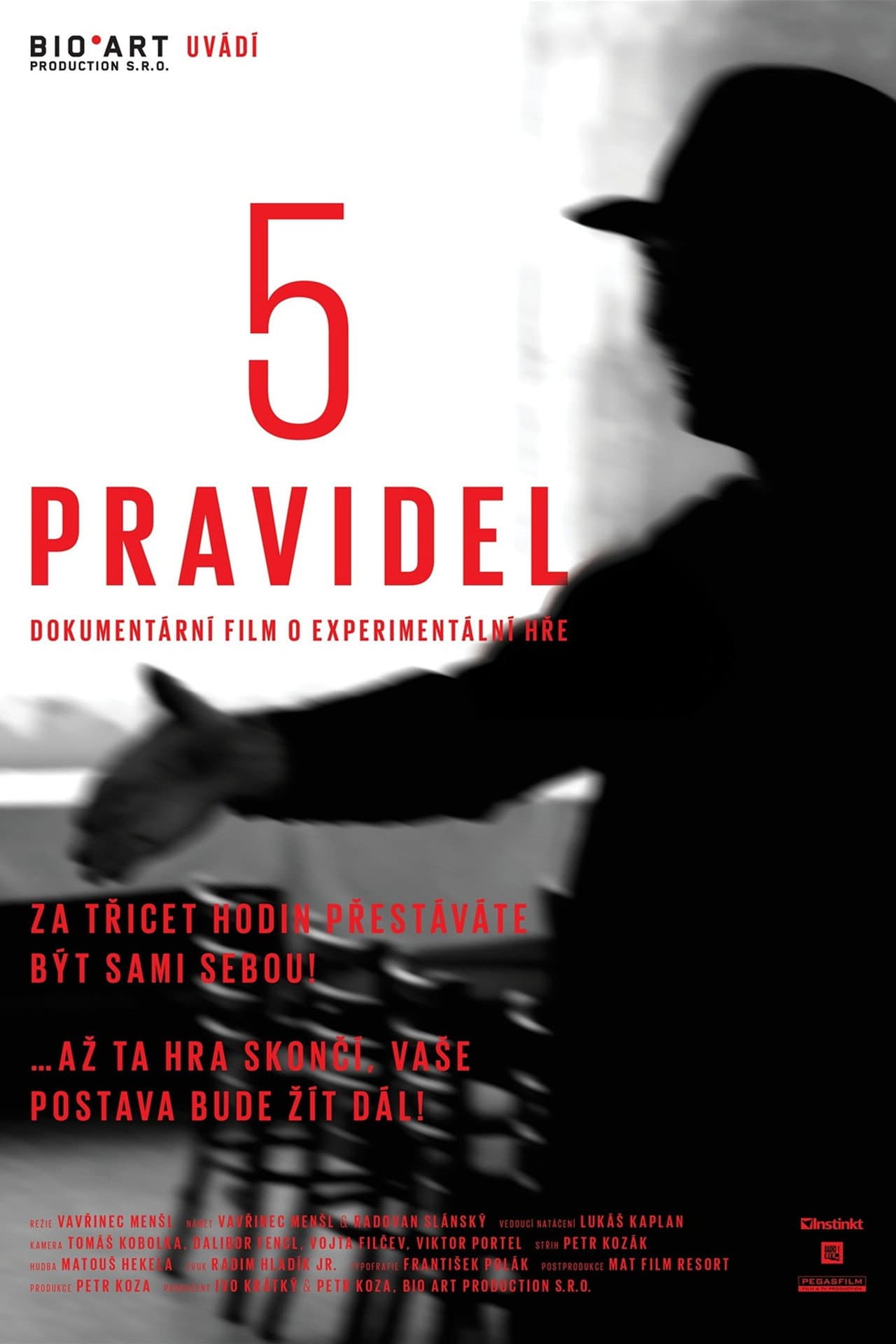 5 pravidel preview 1