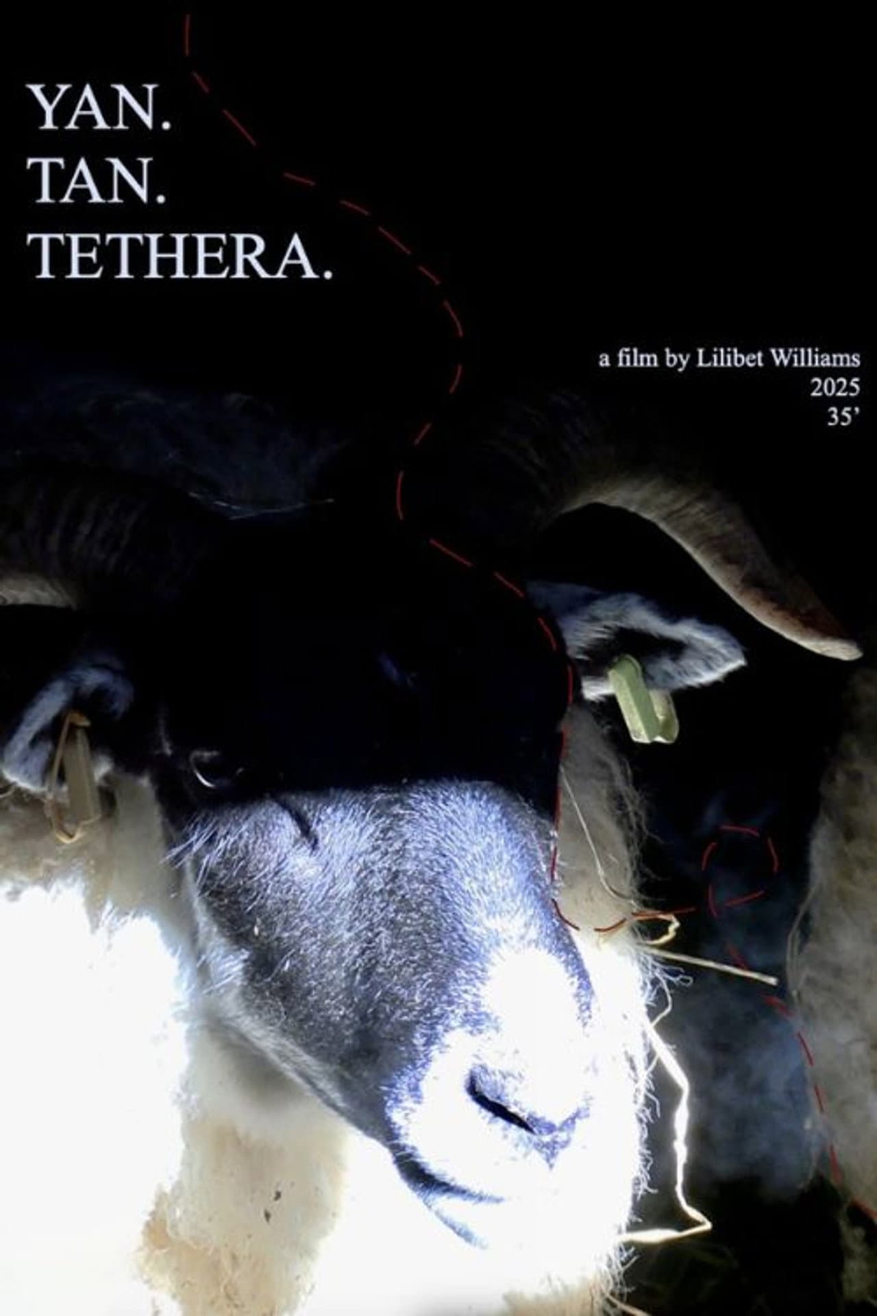 Yan.Tan.Tethera preview 1