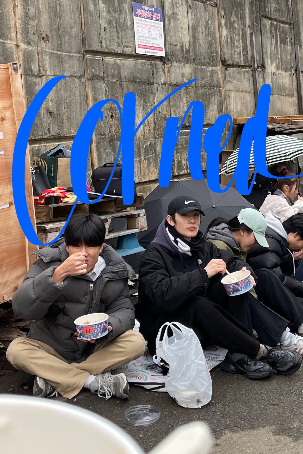 Cornea preview 2
