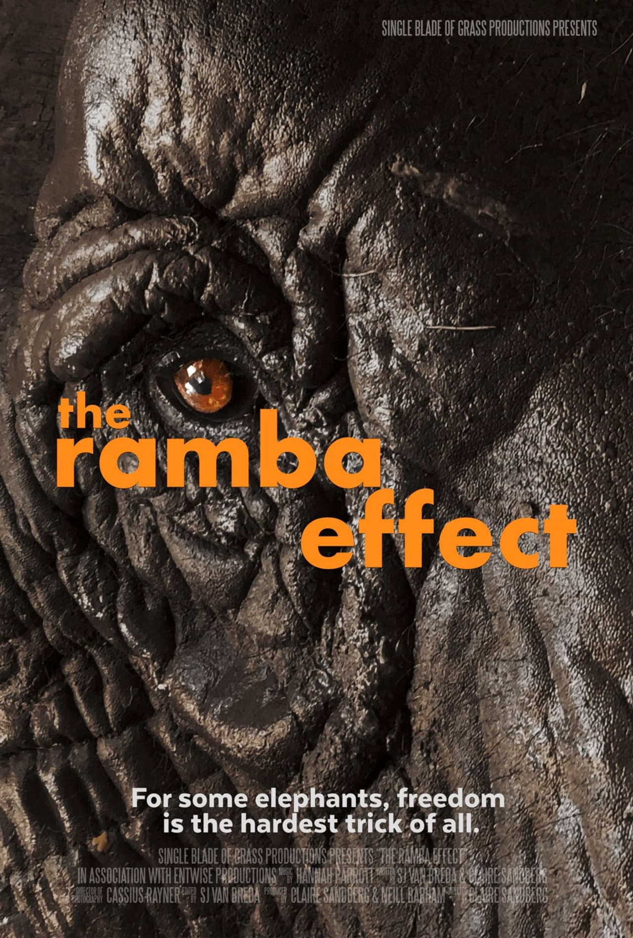 The Ramba Effect preview 1