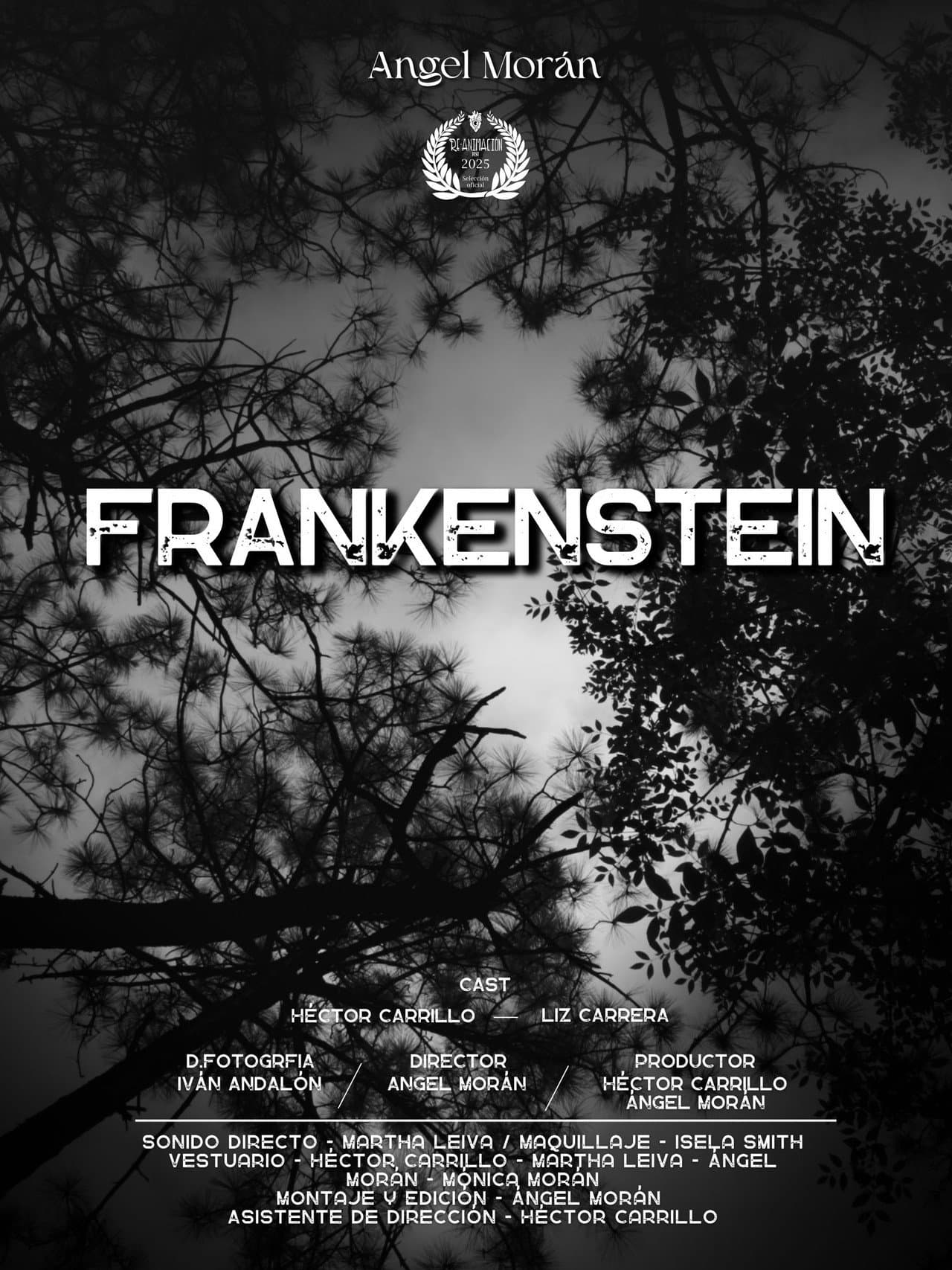 Frankenstein The Creature preview 2