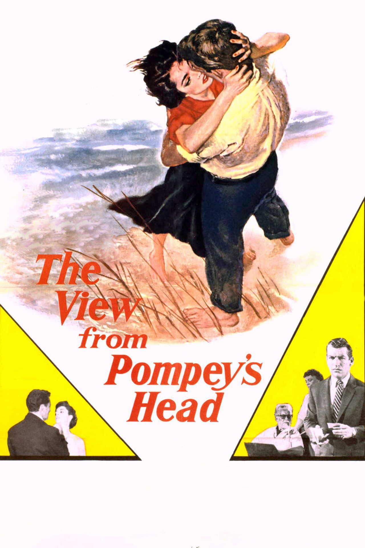 The View from Pompey's Head preview 2