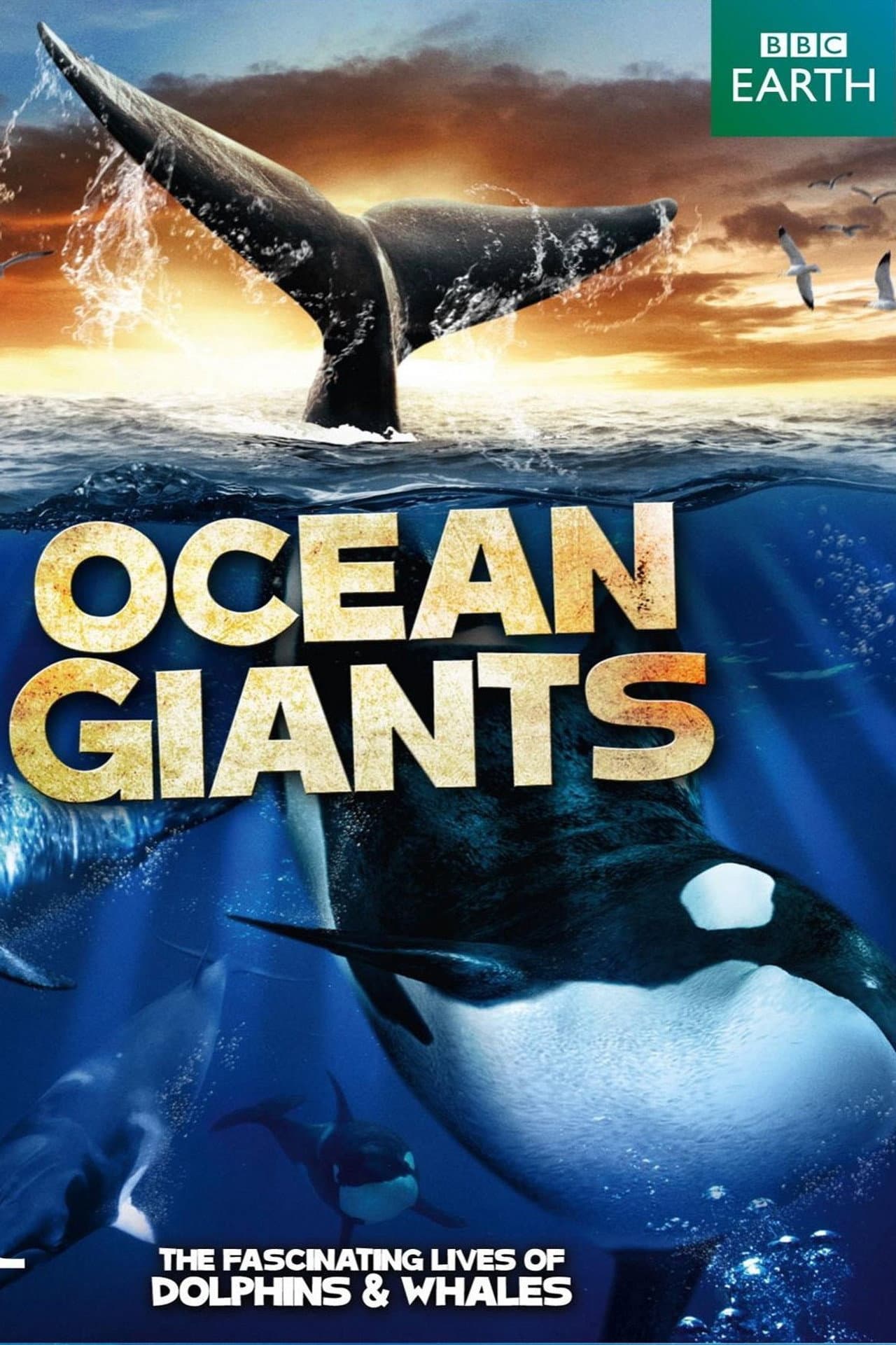 Ocean Giants preview 2