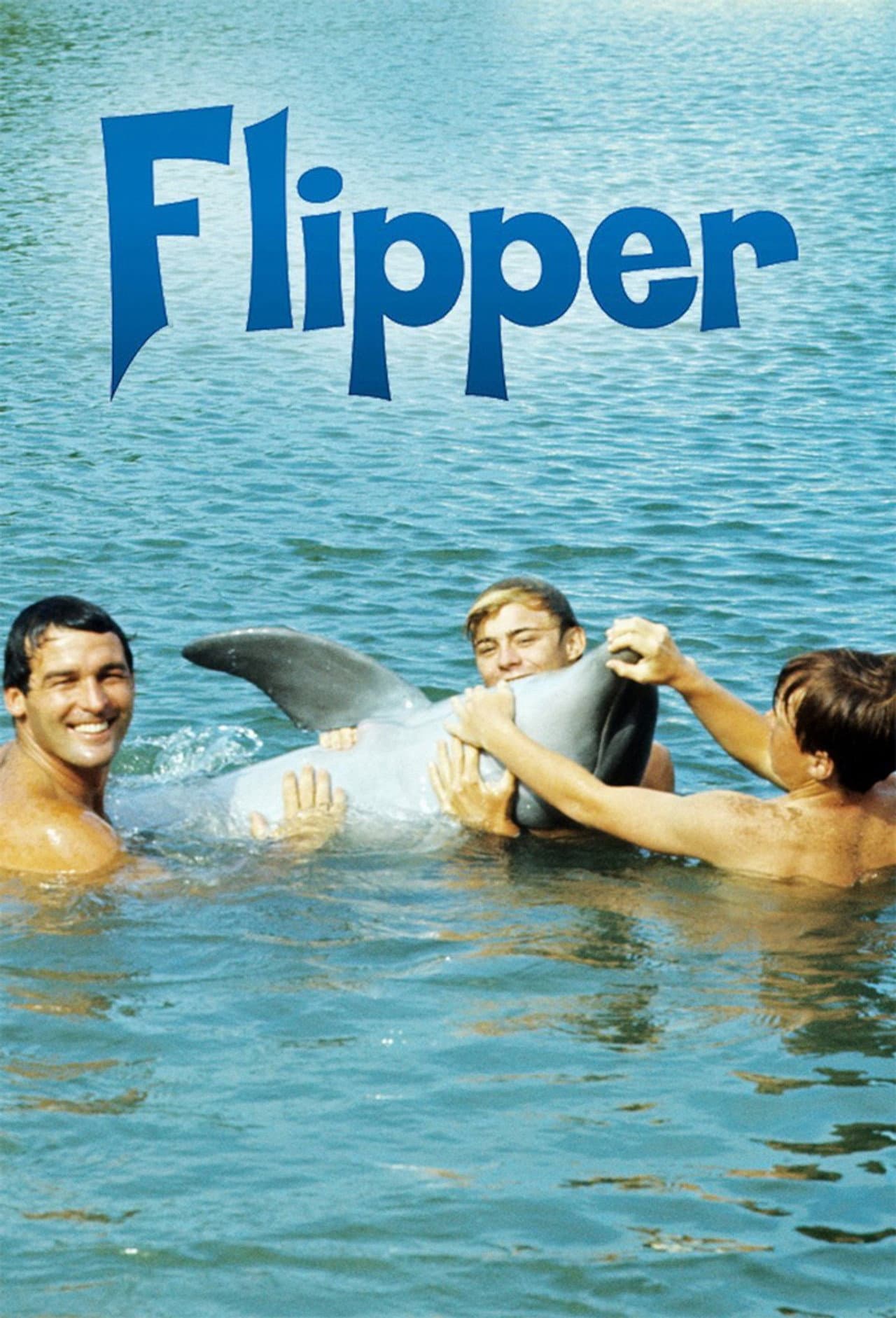 Flipper preview 2