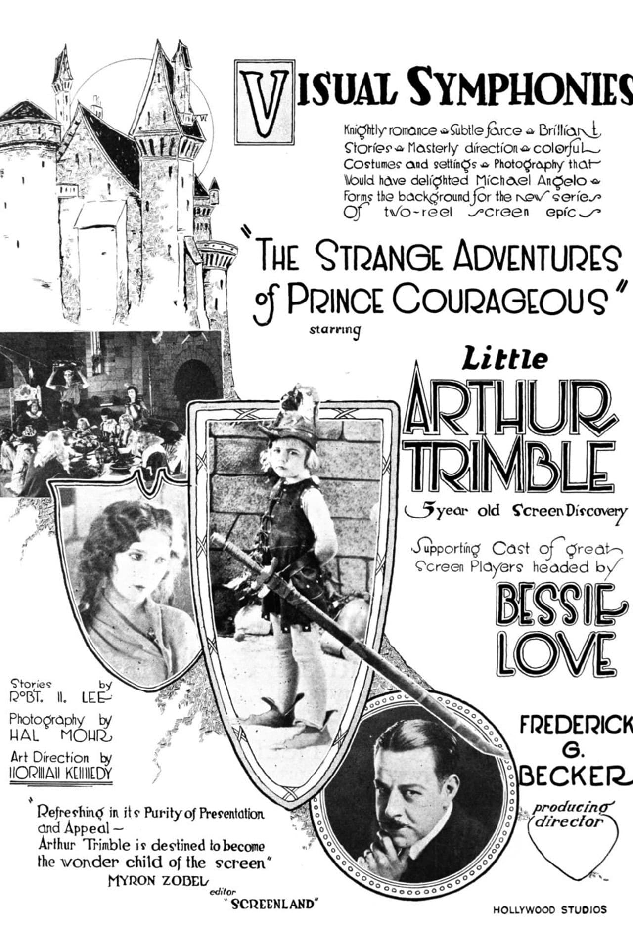 The Strange Adventures of Prince Courageous preview 1