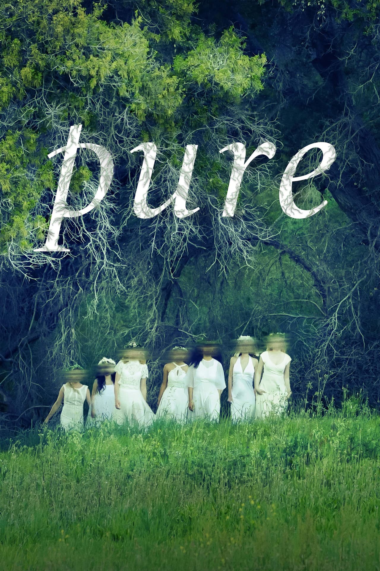 Pure preview 2
