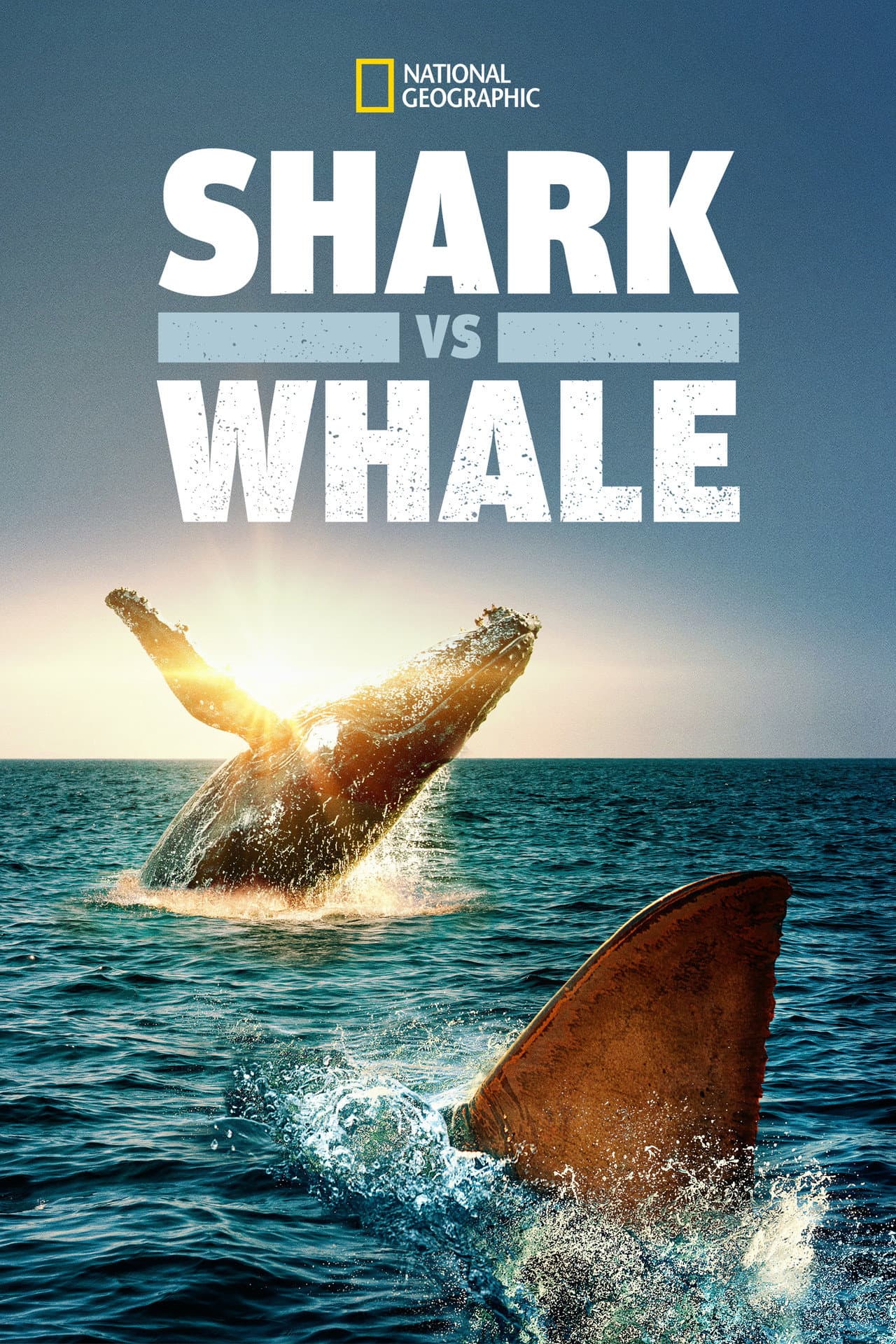 Shark Vs. Whale preview 2