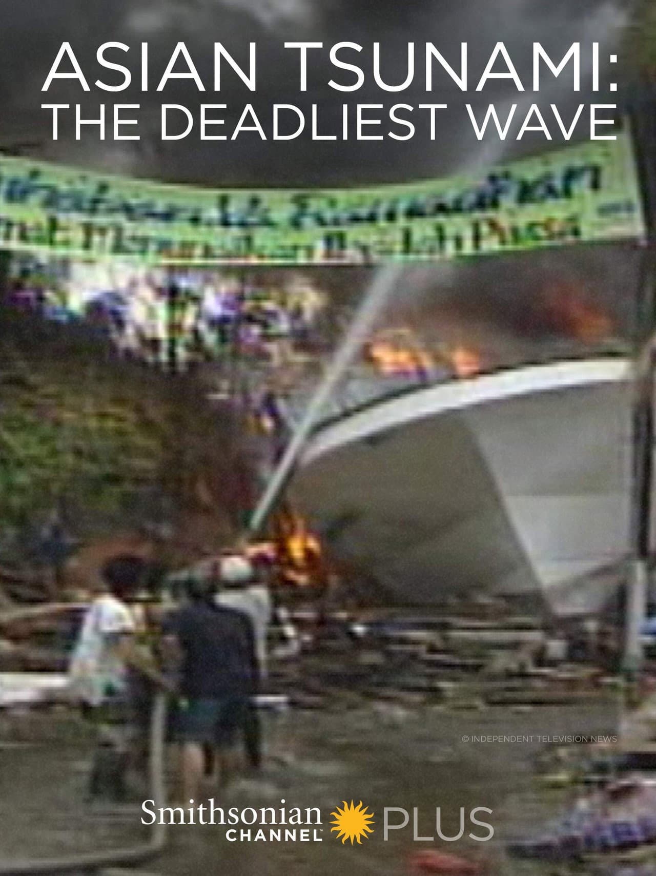 Asian Tsunami: The Deadliest Wave preview 2