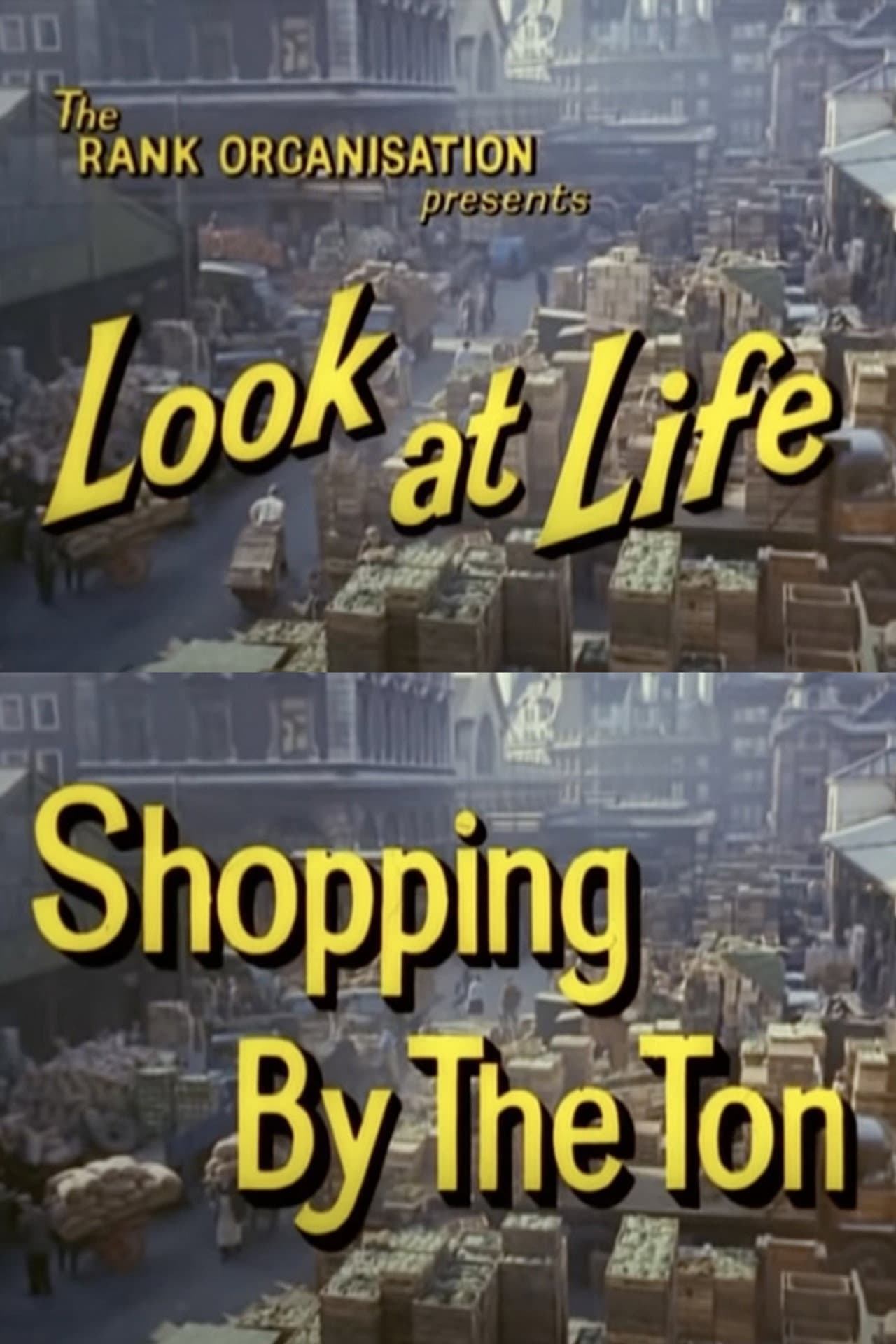 Look at Life: Shopping by the Ton preview 1