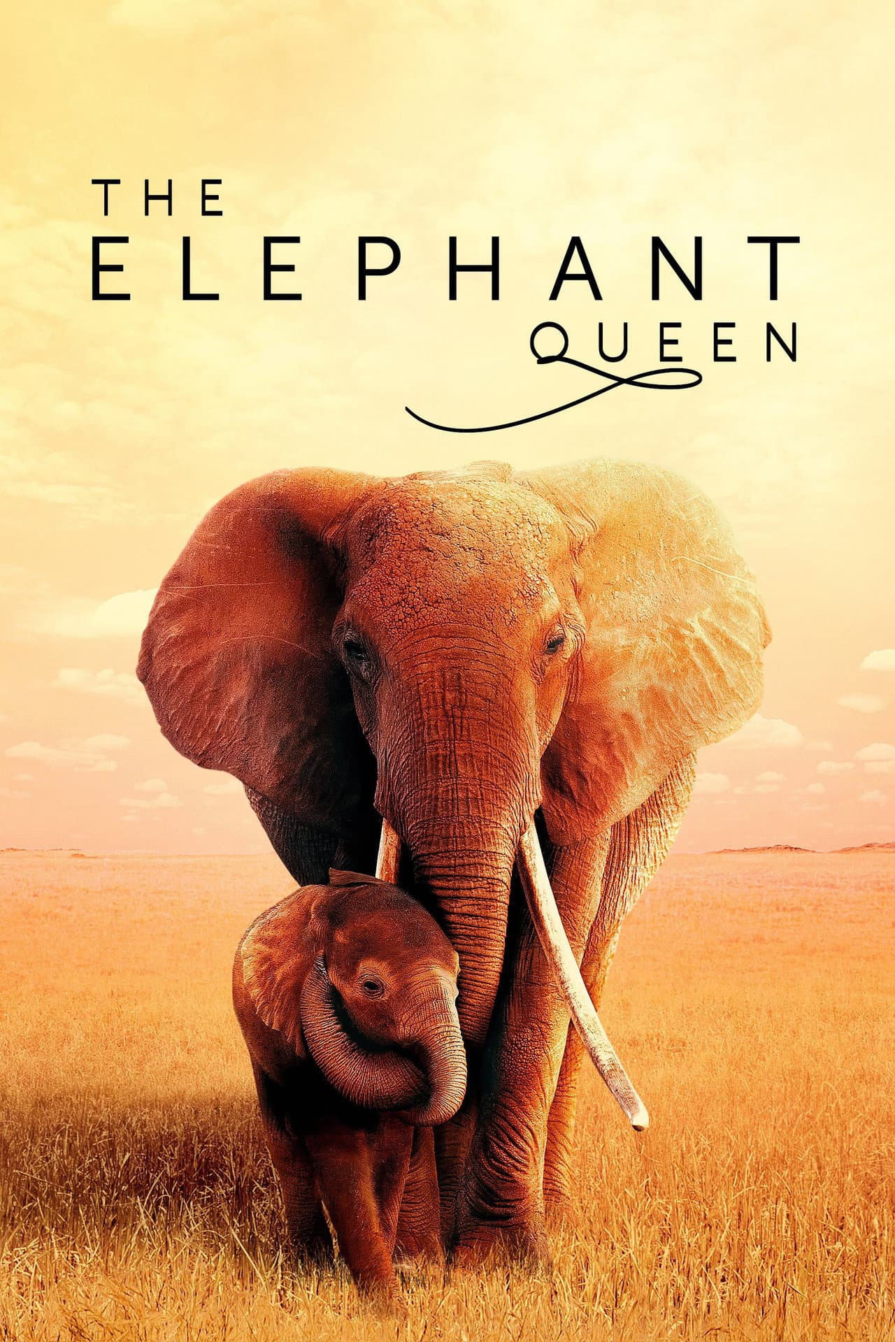 The Elephant Queen preview 2