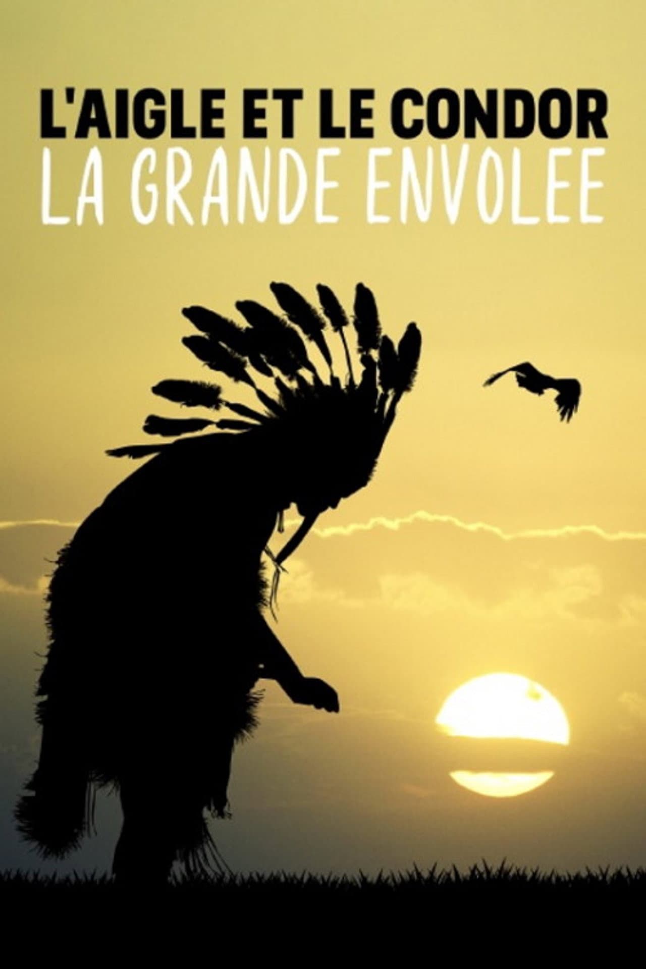 L'aigle et le condor, la grande envolée preview 2
