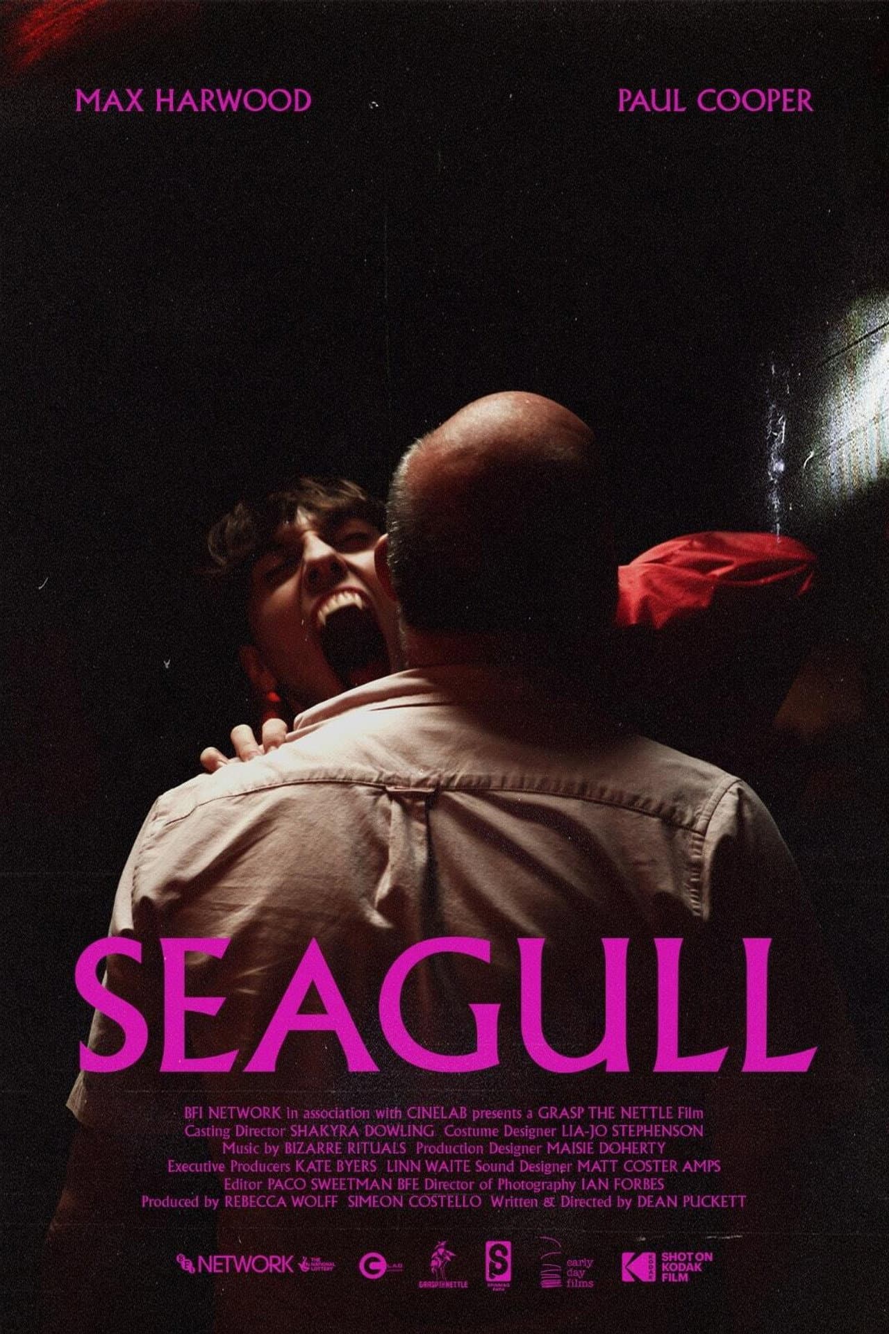 Seagull preview 1