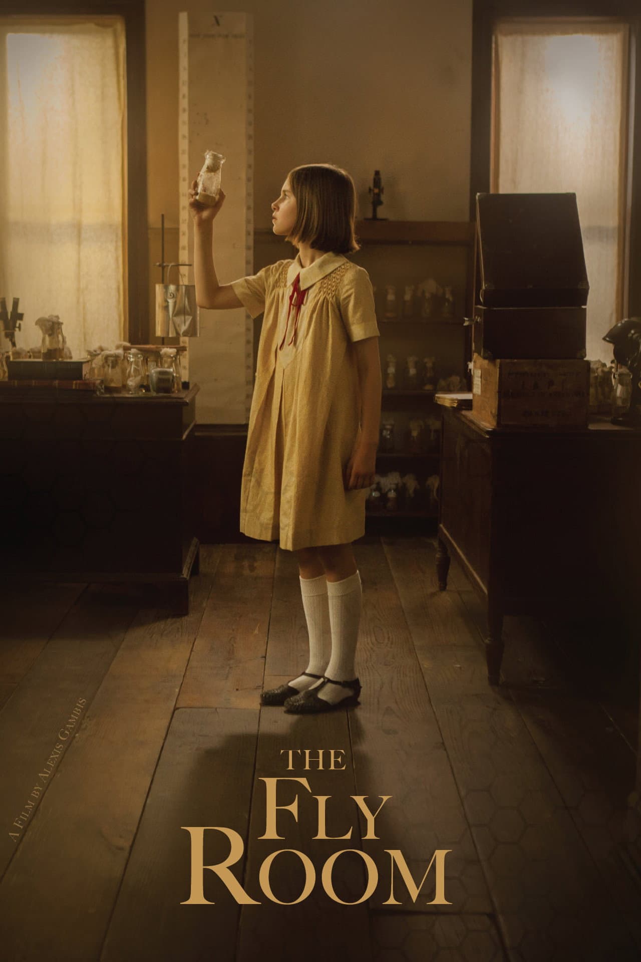 The Fly Room preview 2