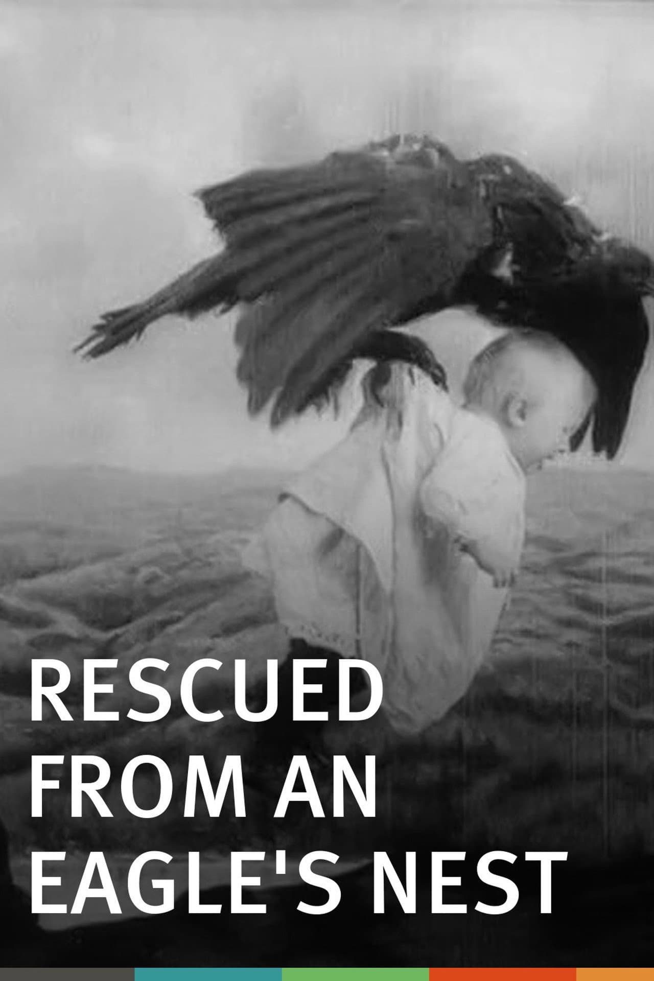 Rescued from an Eagle's Nest preview 2