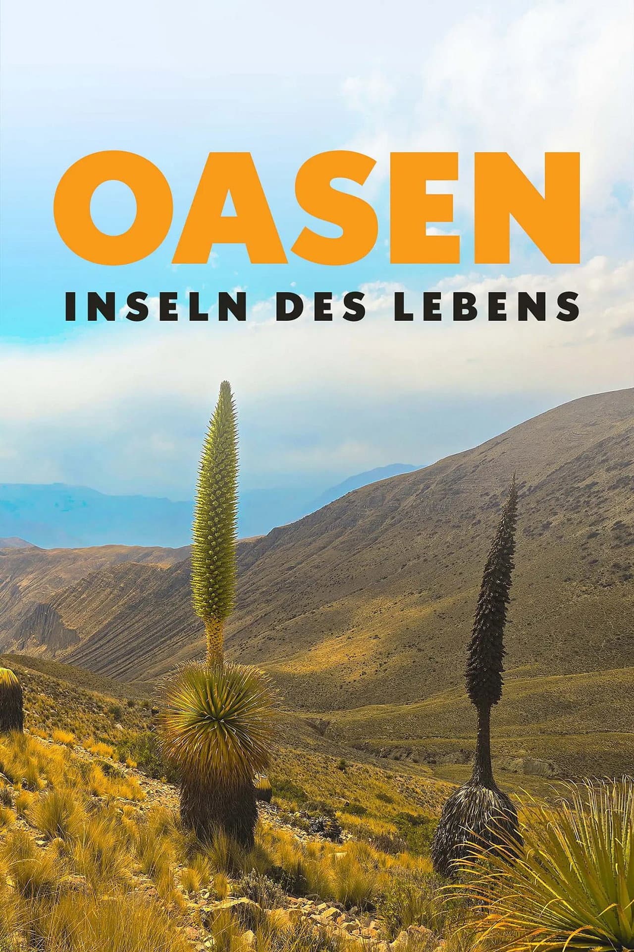 Oasen: Inseln des Lebens preview 2
