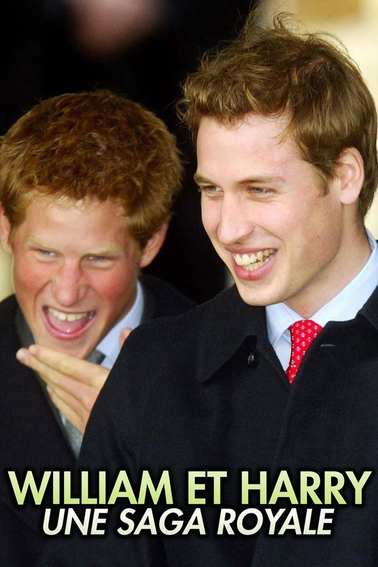 William et Harry, une saga royale preview 2