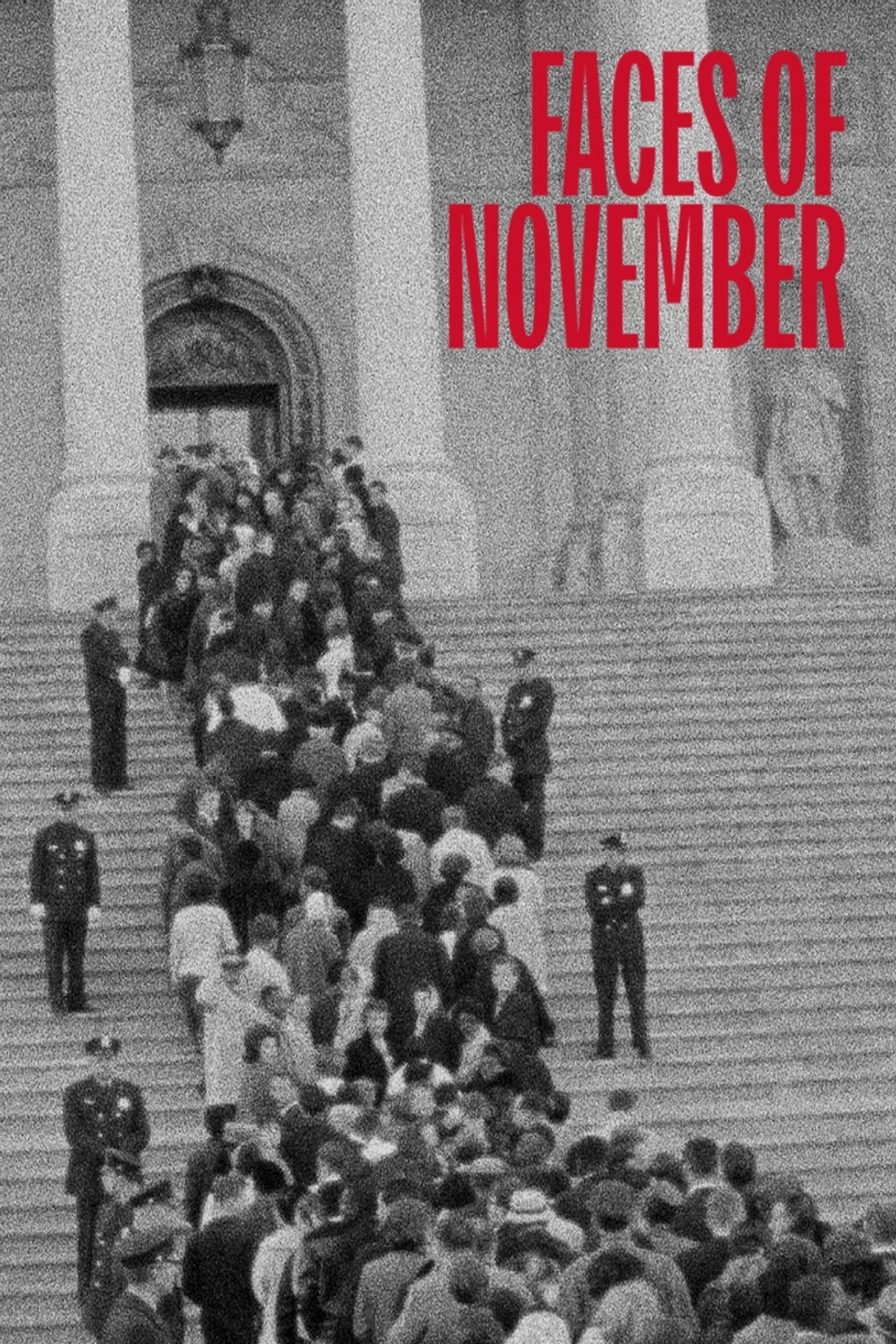 Faces of November preview 2