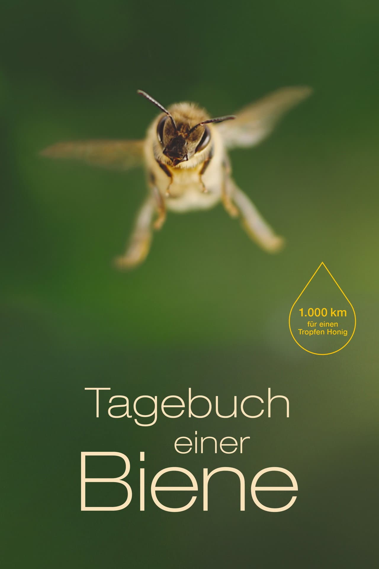 Diary of a Bee preview 2