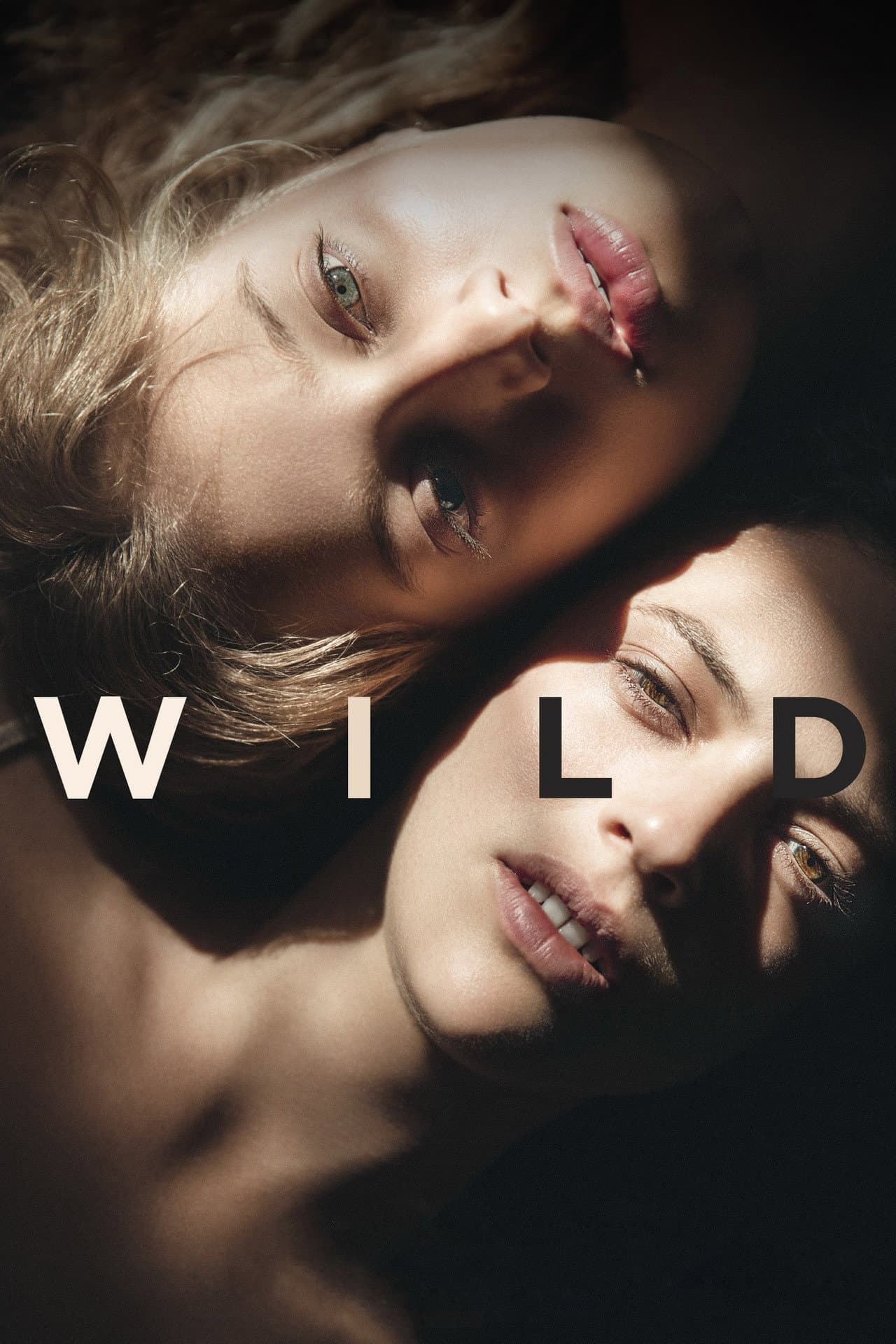 Wild preview 2
