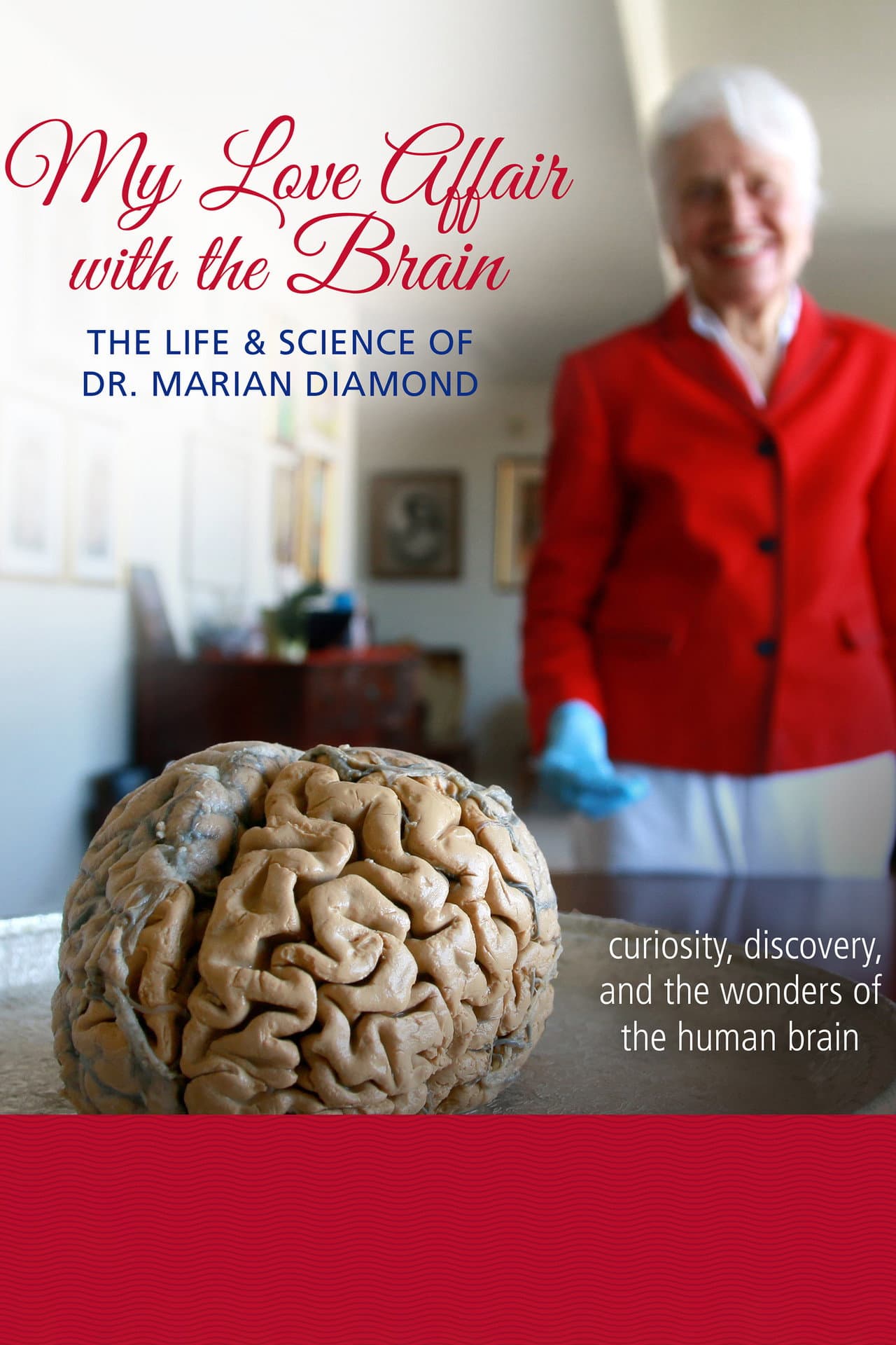 My Love Affair with the Brain preview 2