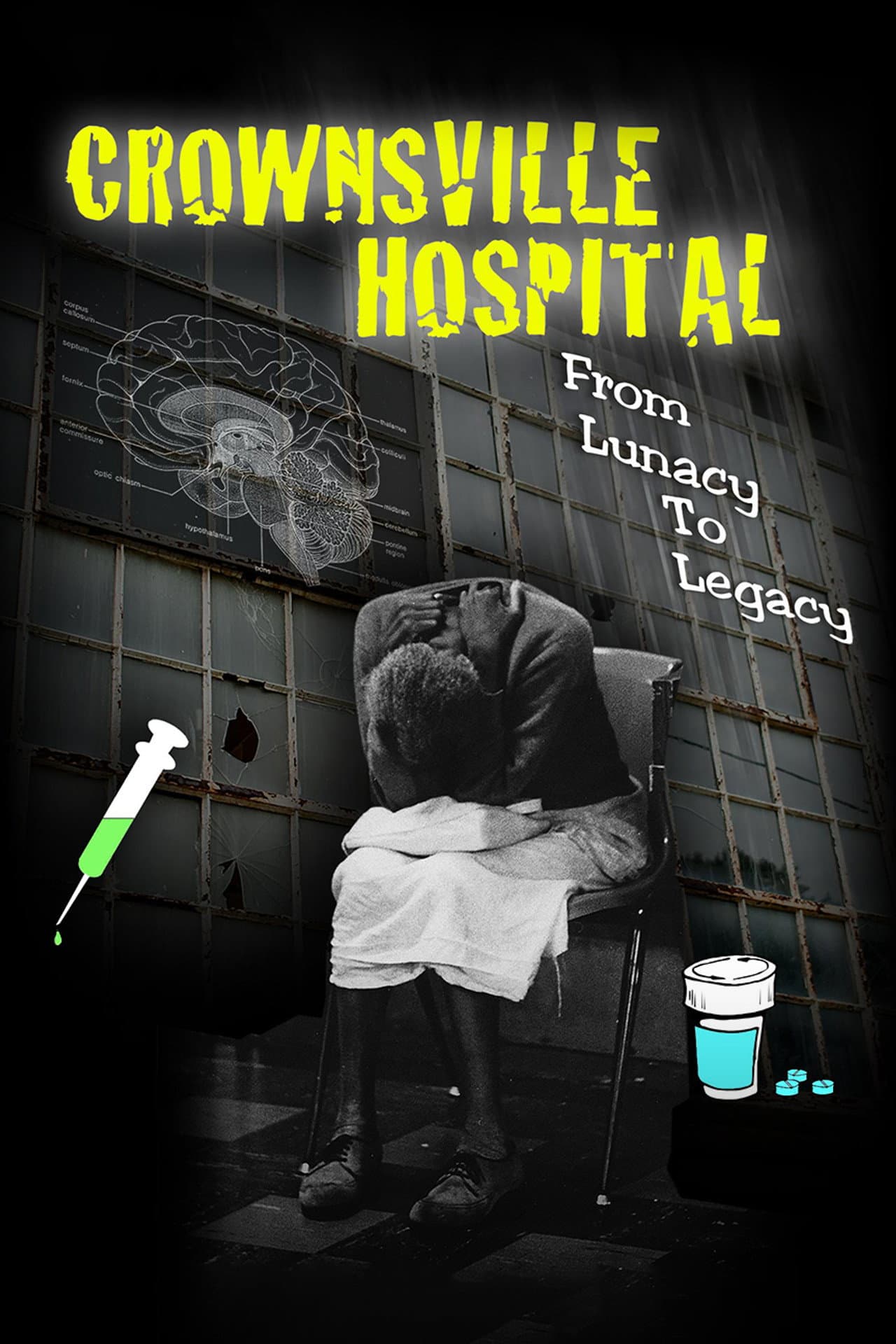 Crownsville Hospital: From Lunacy to Legacy preview 2