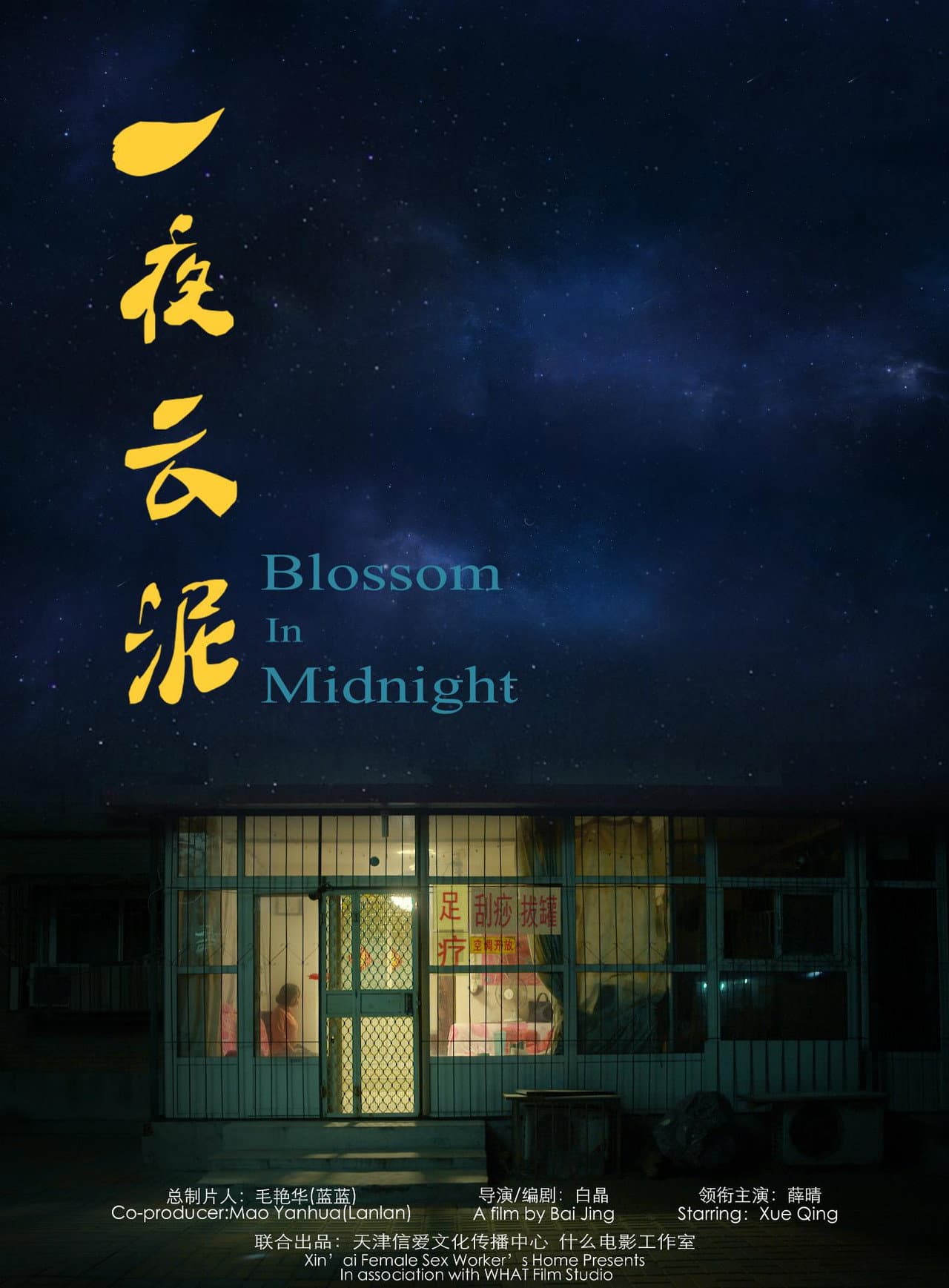 Blossom in Midnight preview 1