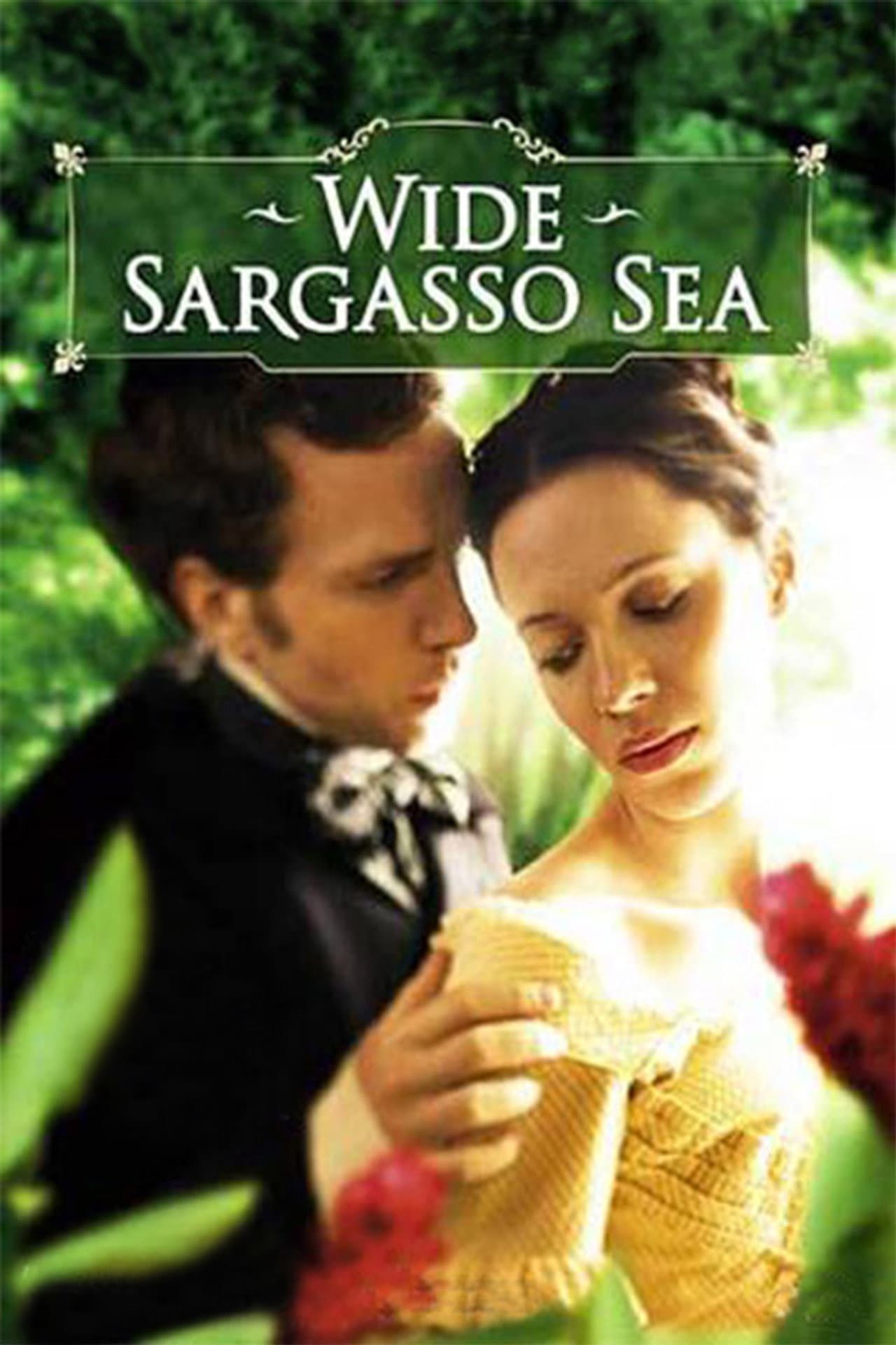 Wide Sargasso Sea preview 2