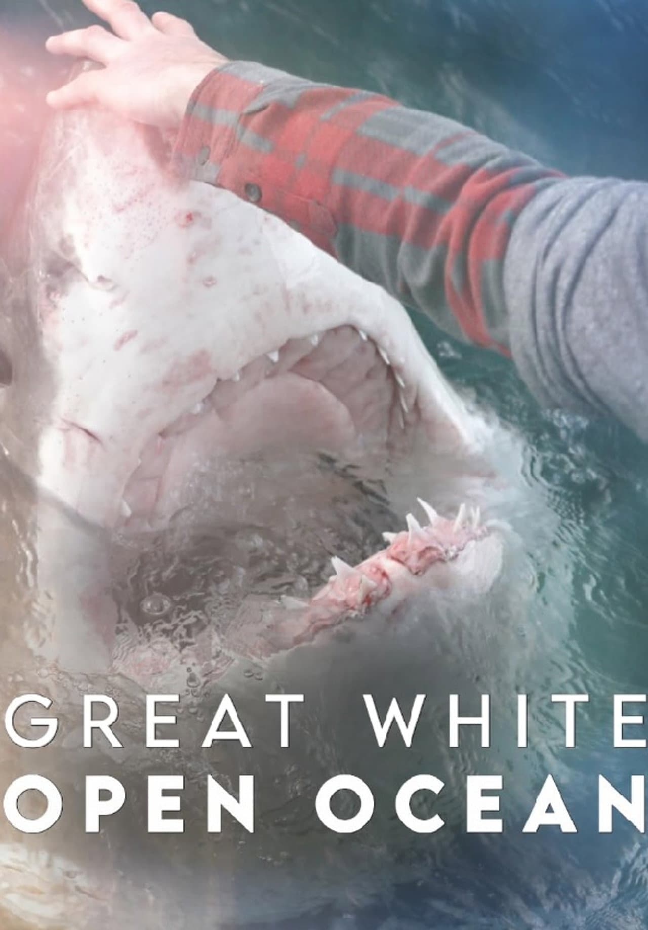 Great White Open Ocean preview 2