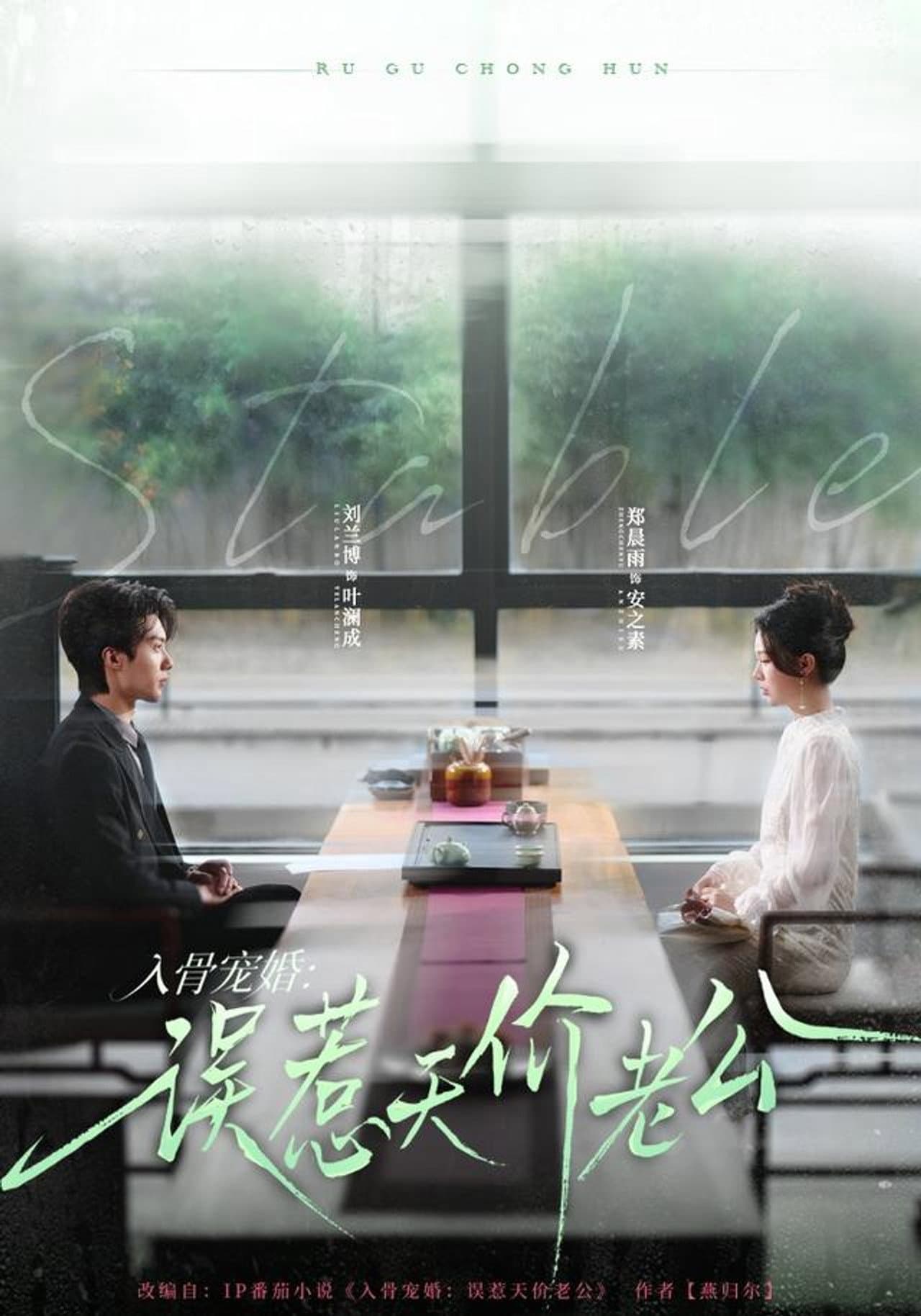 入骨宠婚：误惹天价老公 preview 1