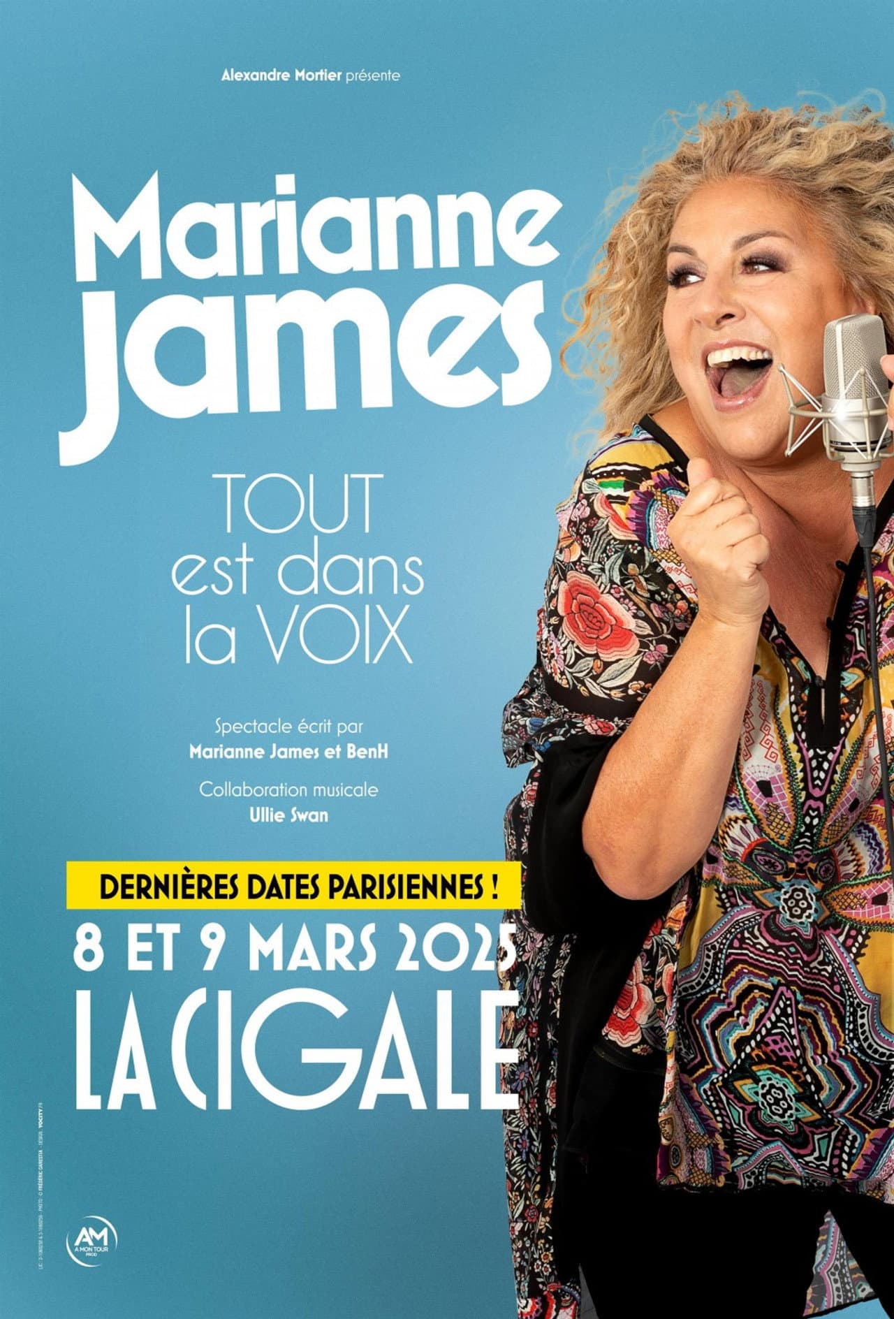 Marianne James : tout est dans la voix preview 2