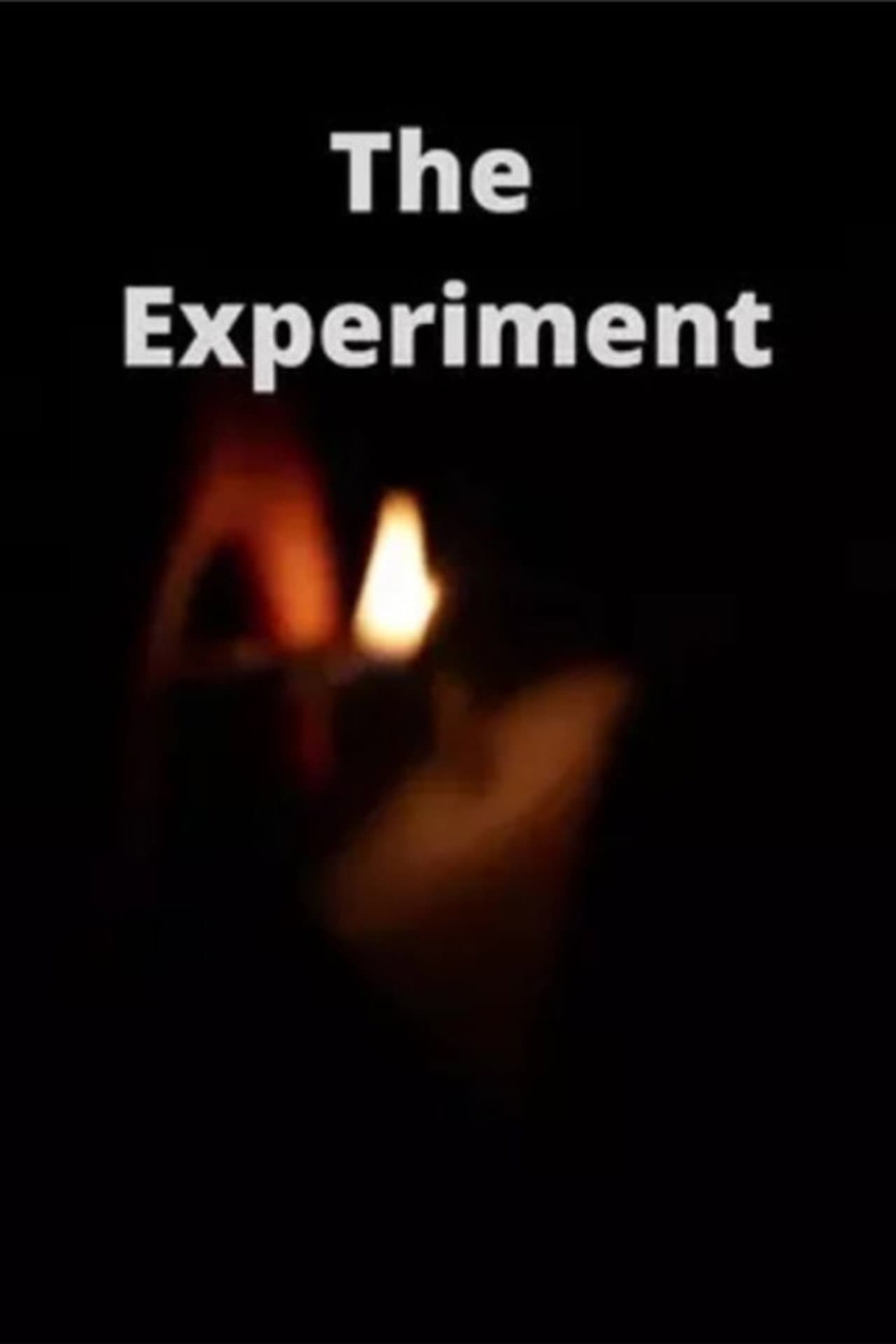 The Experiment preview 2