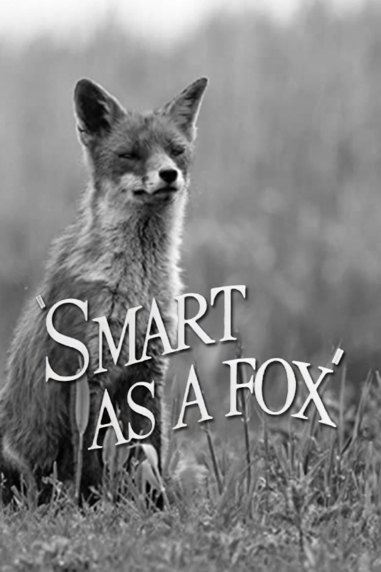 Smart as a Fox preview 1