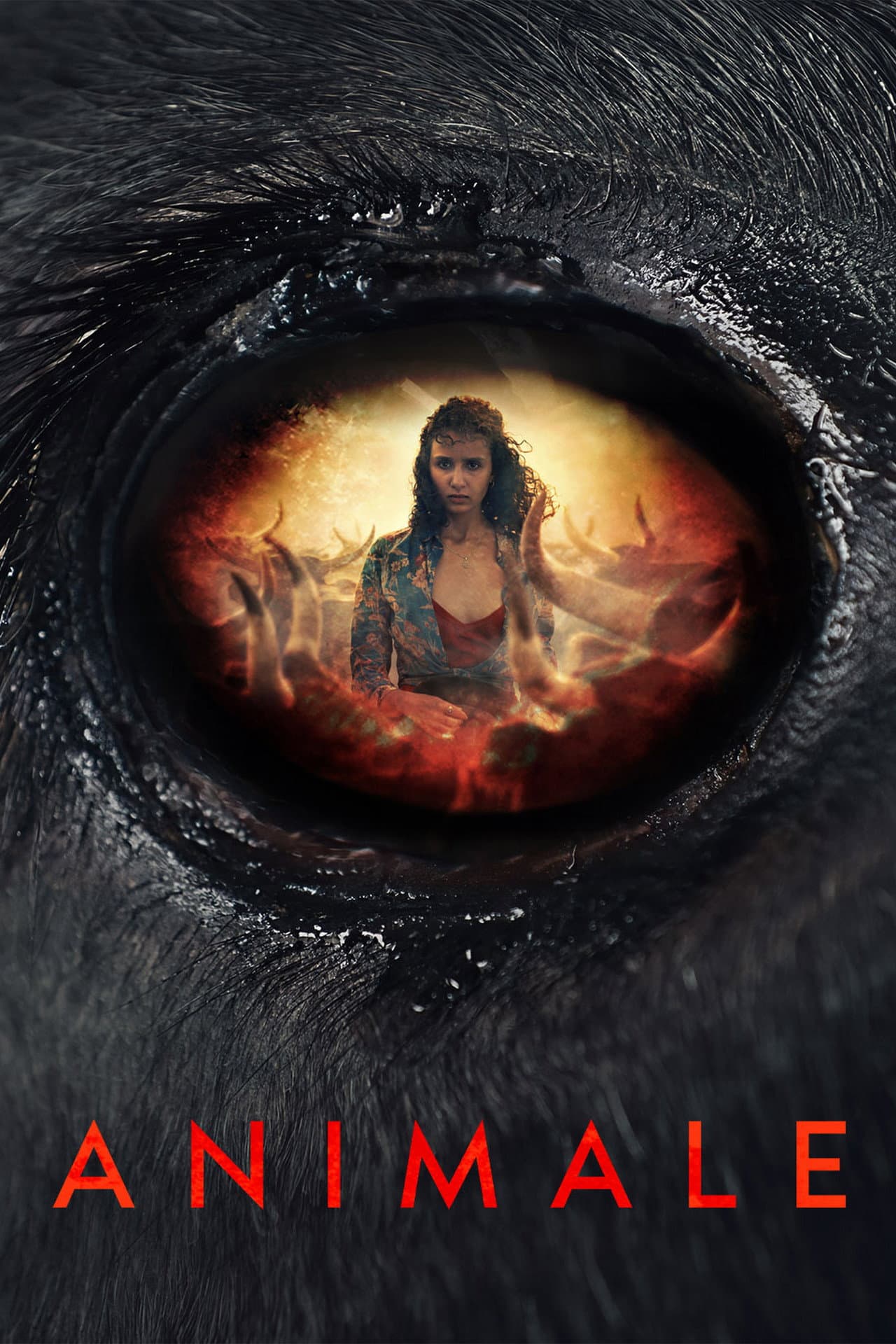 Animale preview 2