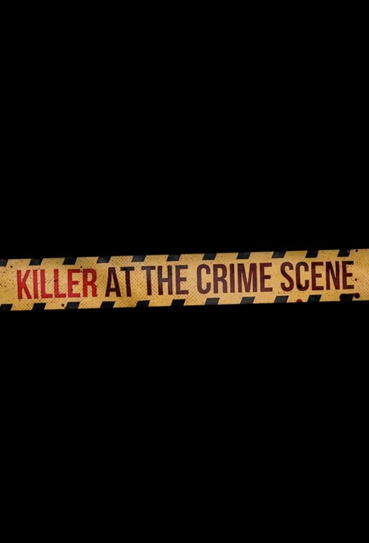 Killer at the Crime Scene preview 2