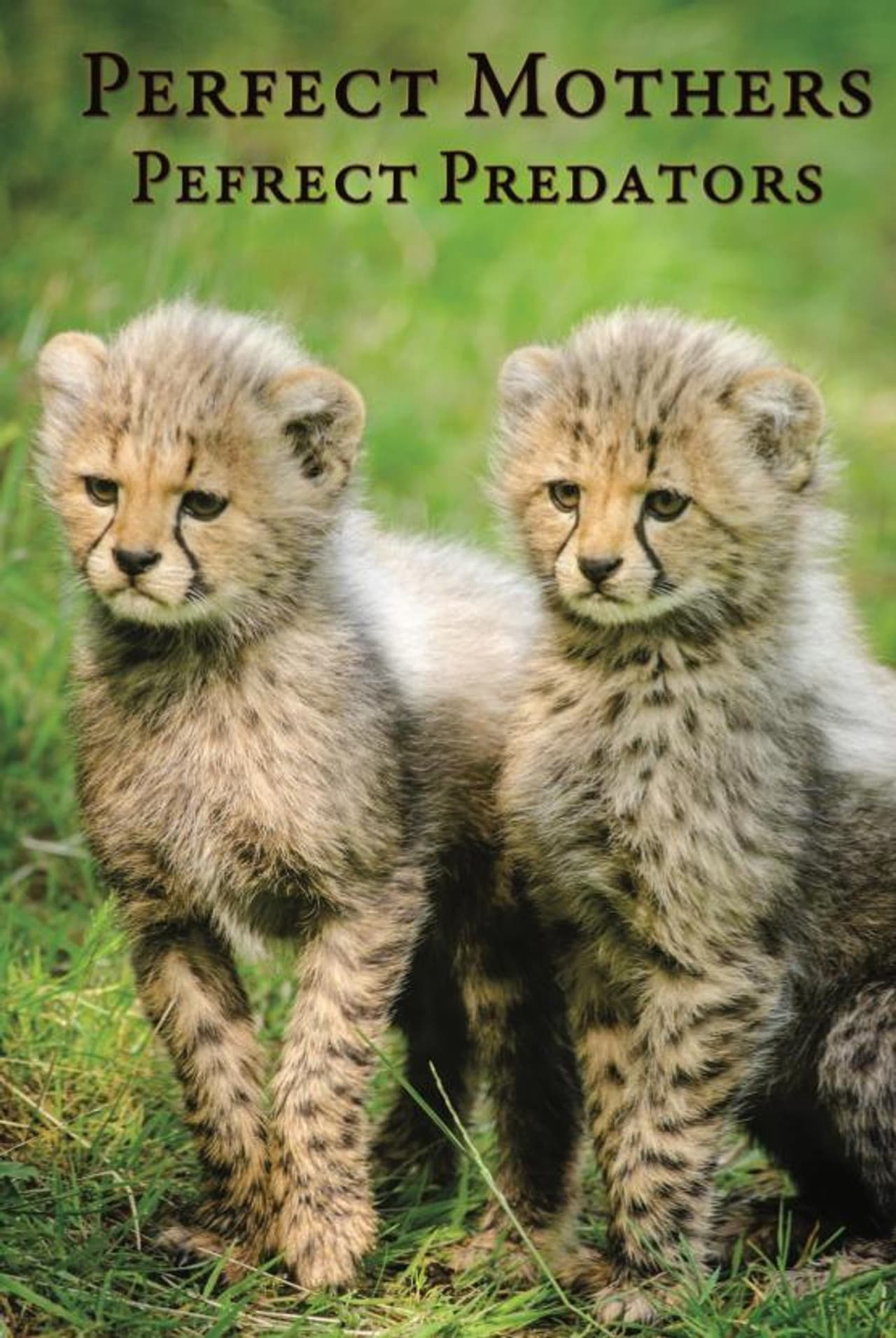 Perfect Mothers, Perfect Predators preview 1