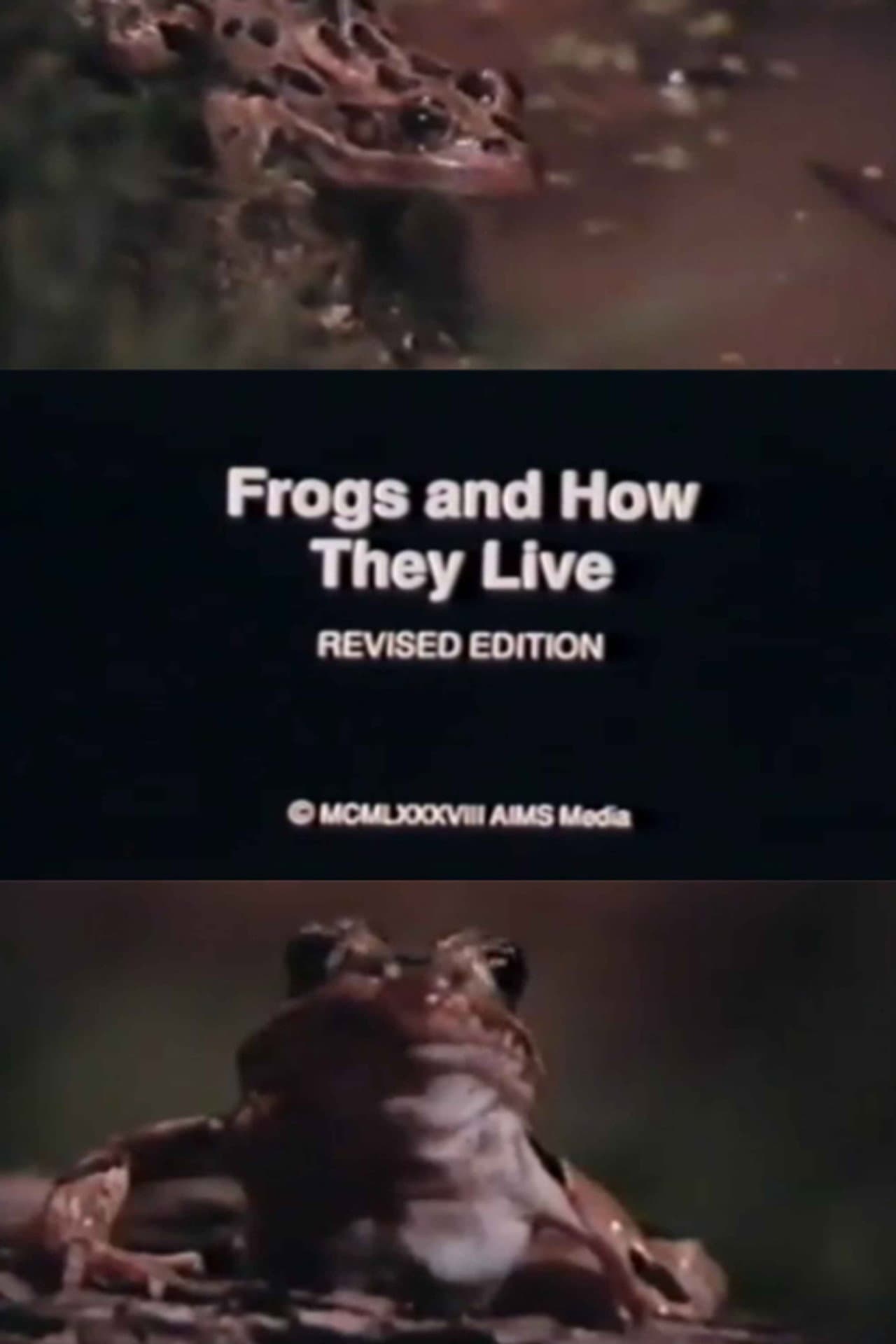 Frogs and How They Live preview 1