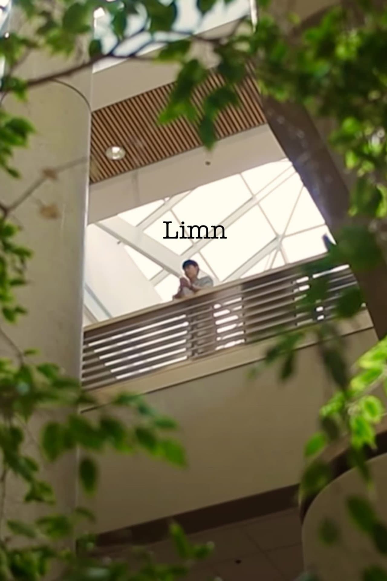 Limn preview 1