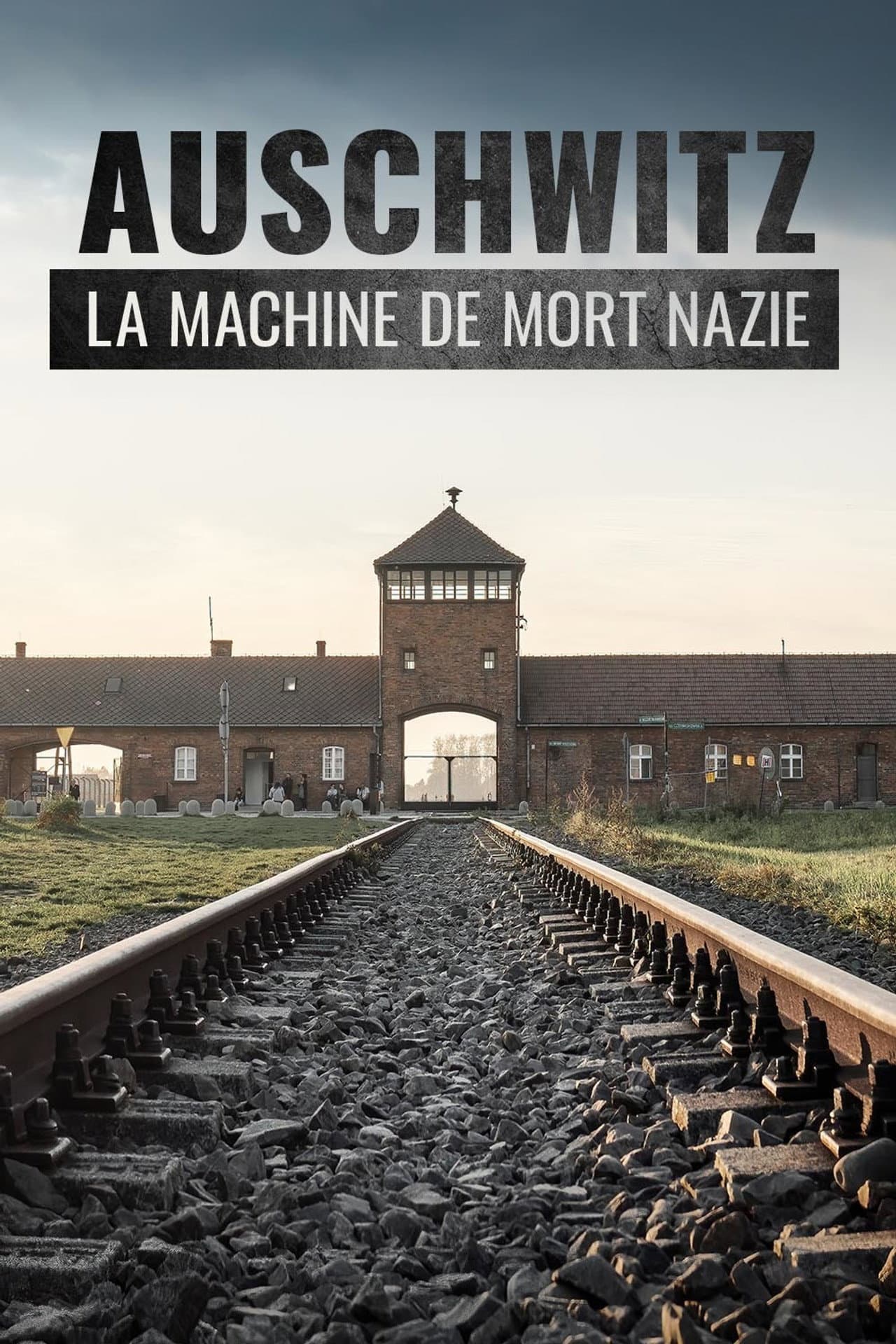 Auschwitz, la machine de mort nazie preview 2