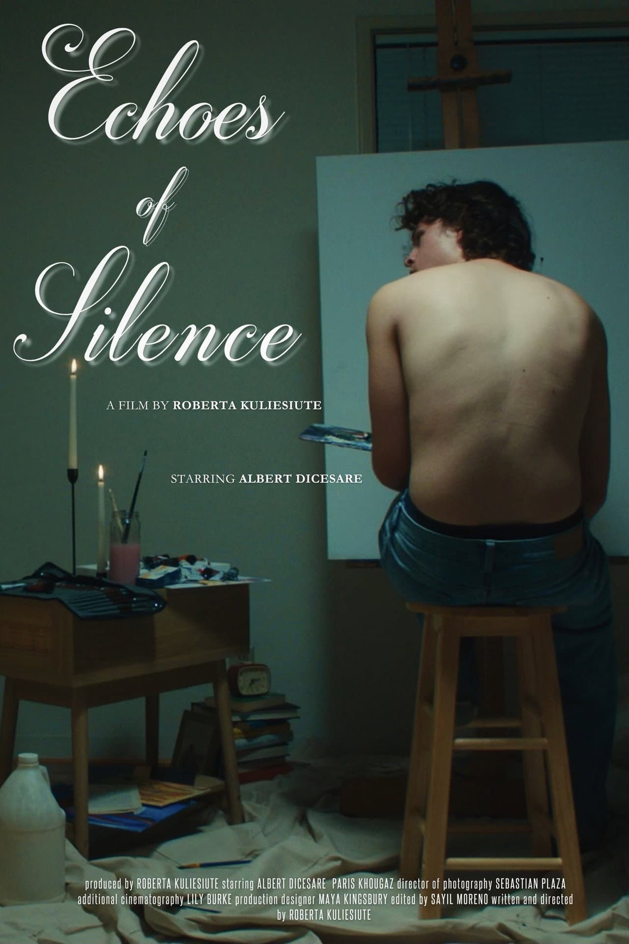 Echoes of Silence preview 1