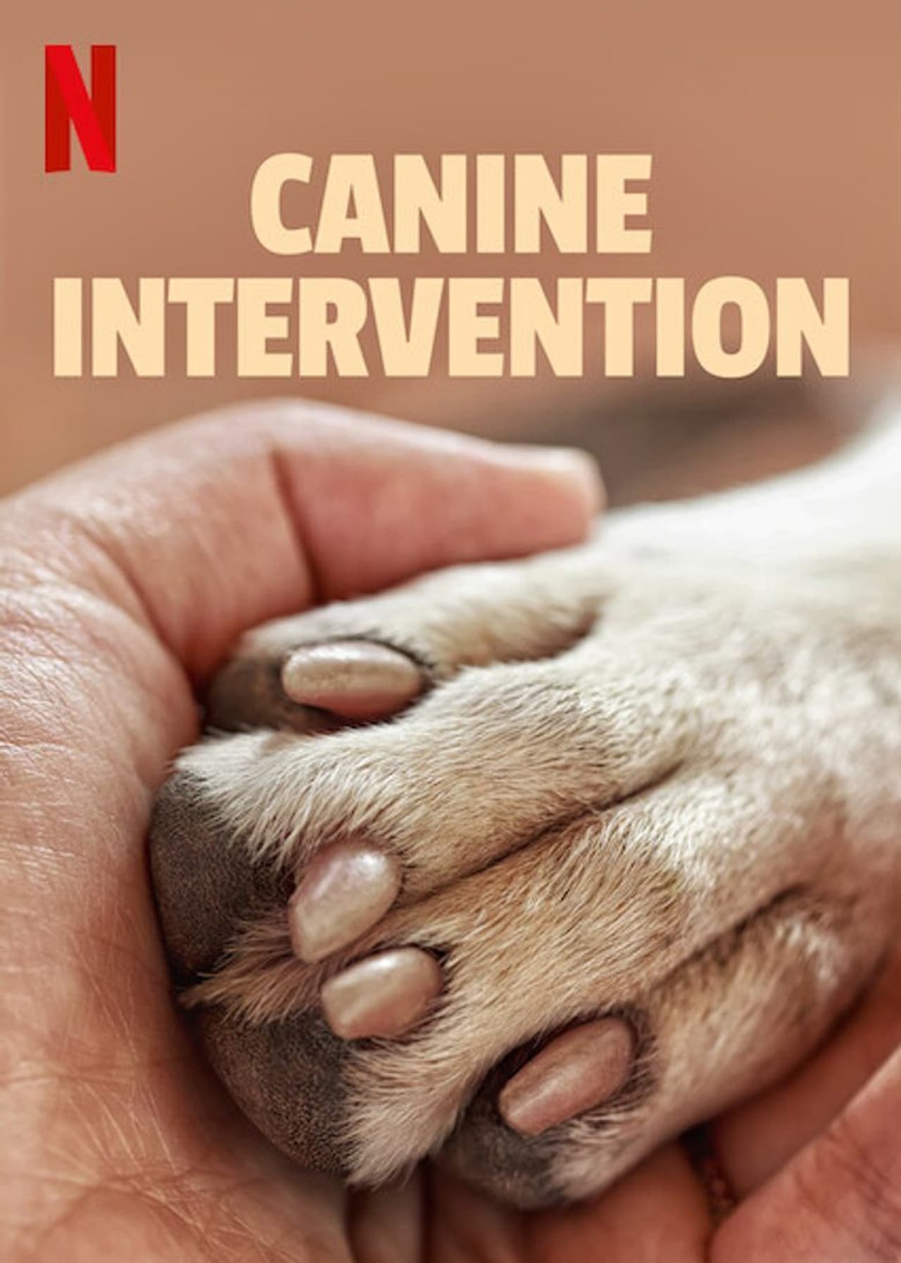 Canine Intervention preview 2