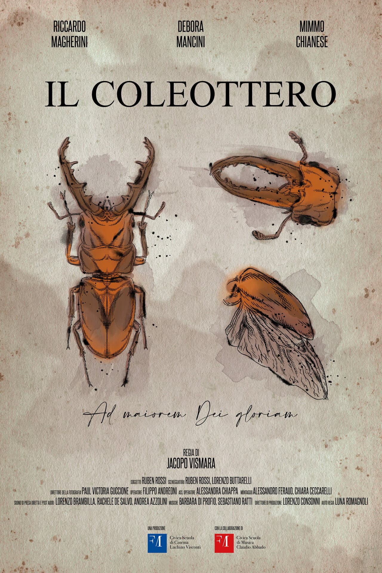The Coleopteran preview 2