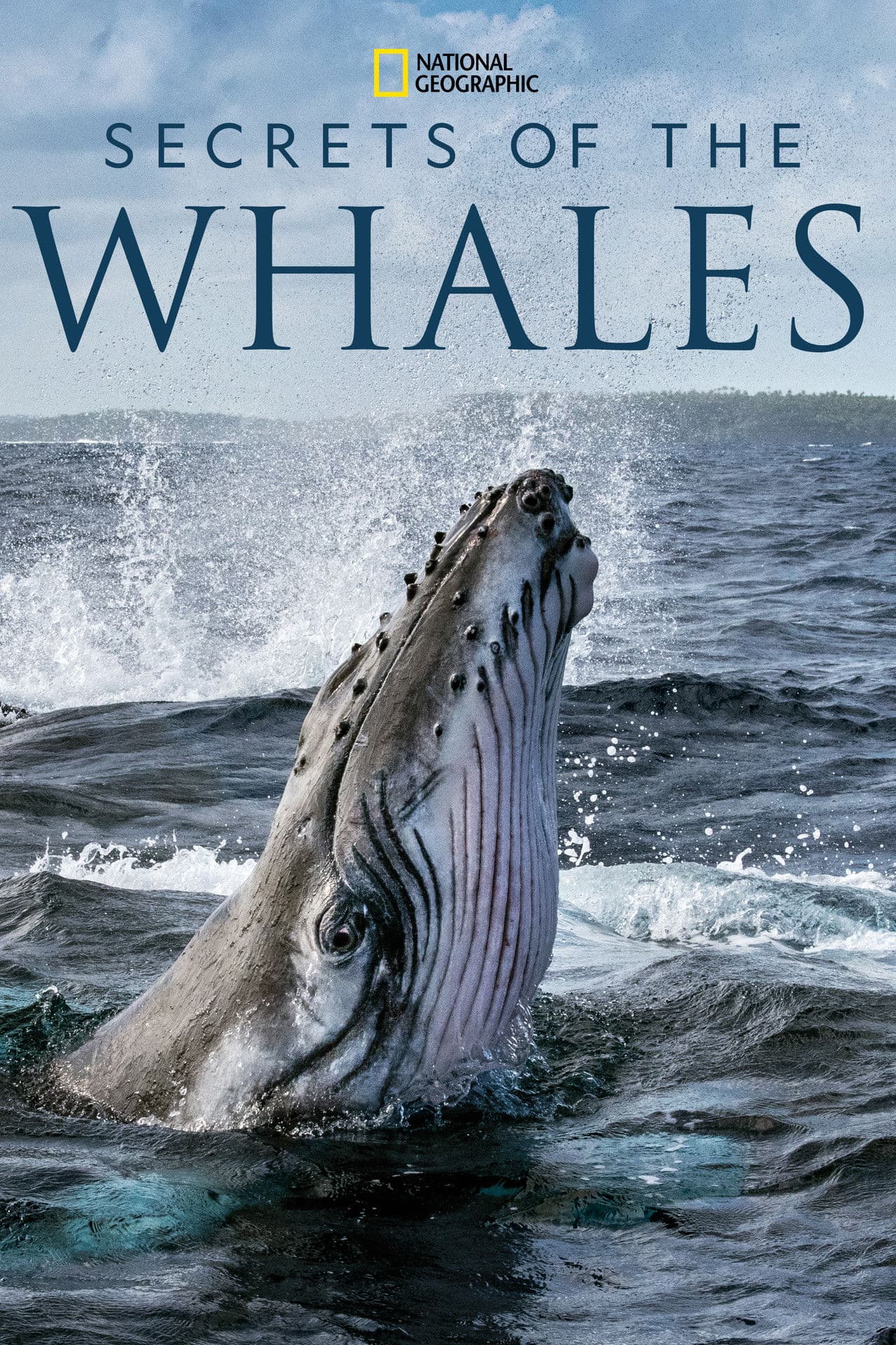 Secrets of the Whales preview 2