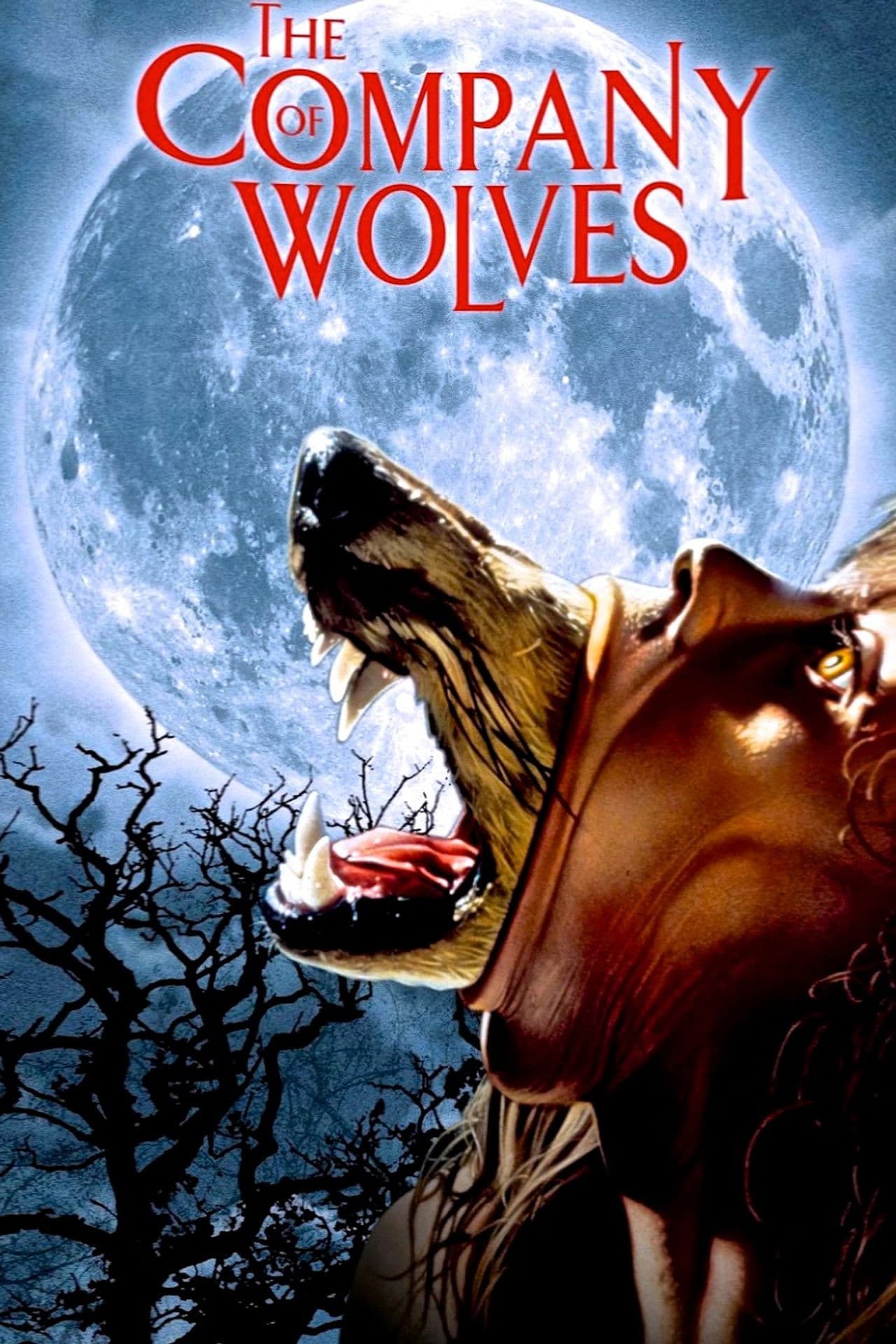 The Company of Wolves preview 2