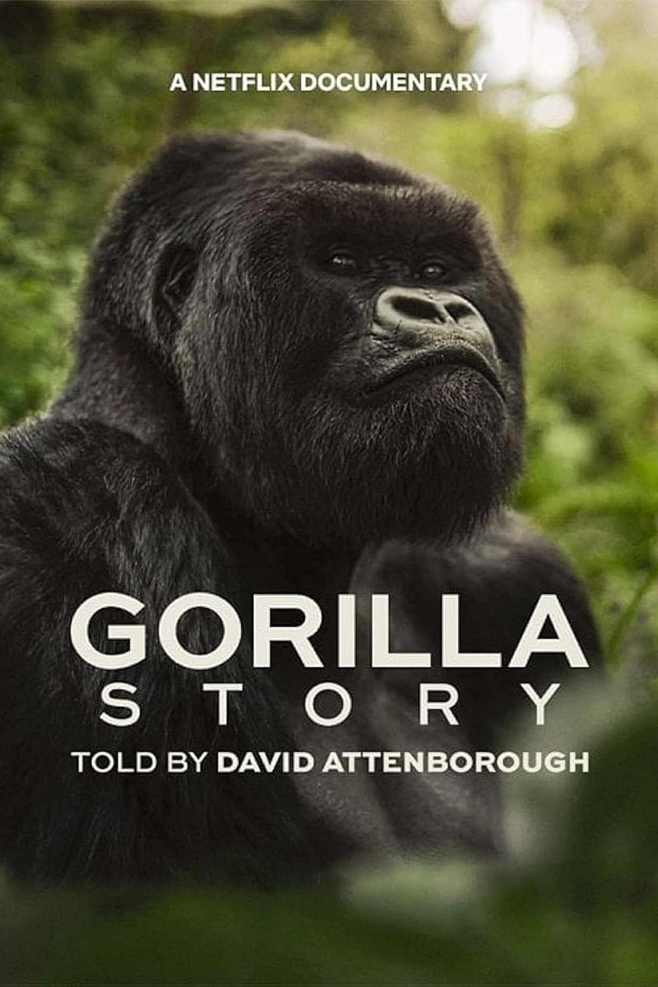 A Gorilla Story: Told by David Attenborough preview 2